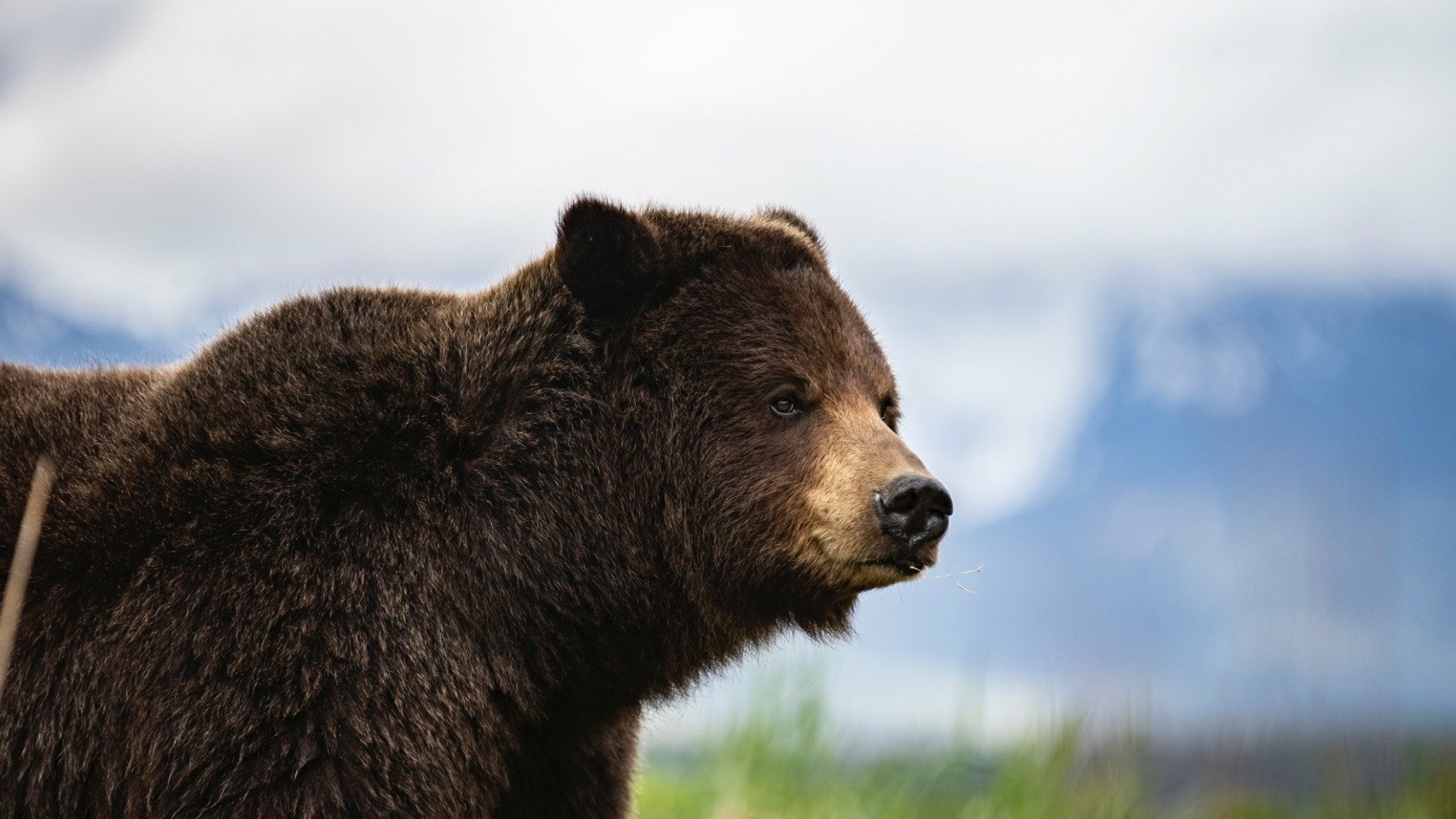 Éden : Alasca - A Última Fronteira da América