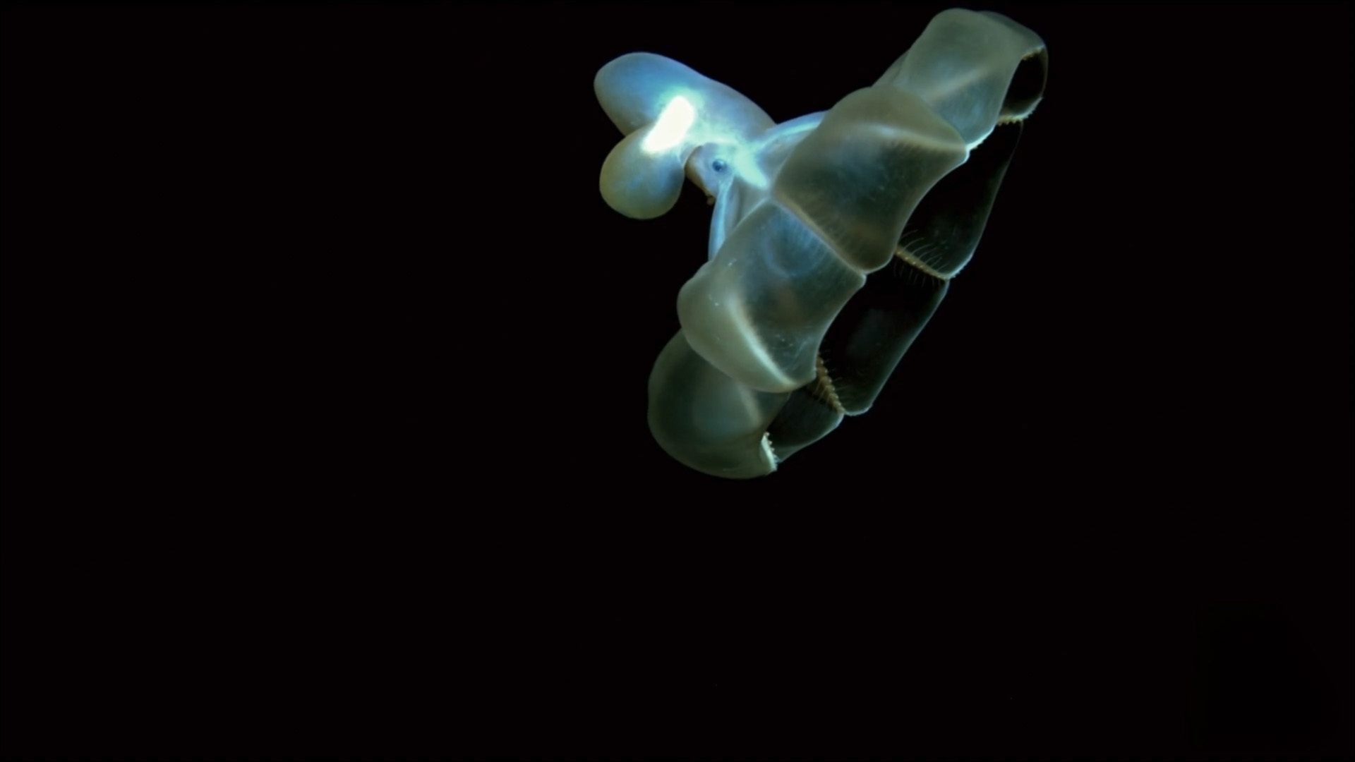 Inacreditável com Dan Aykroyd : O que Está por Trás?