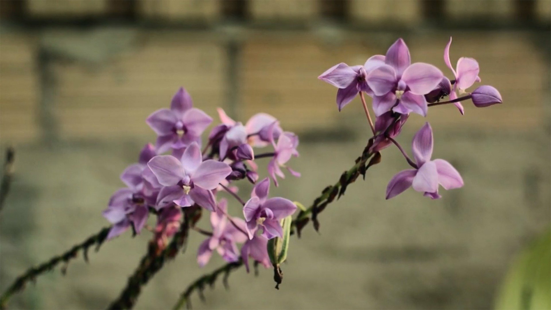 Da Nascente à Foz : Rio Tapajós