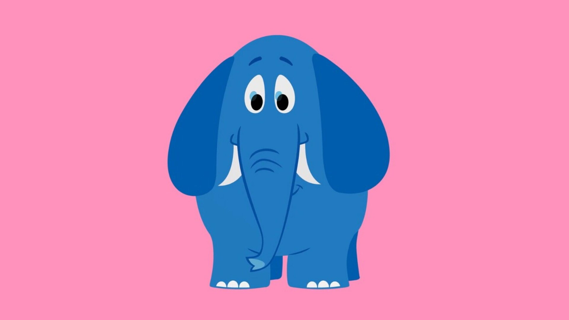 Zooparky - Quem Sou Eu? : Dia de Zooparky; O Elefante; A Tartaruga