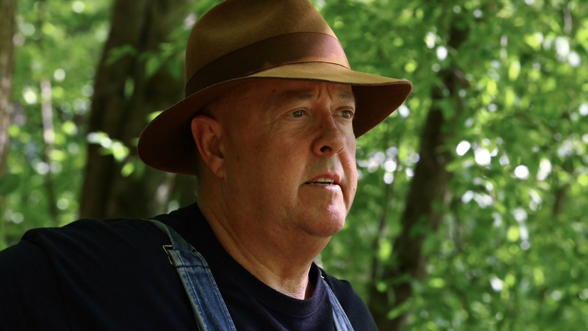 Destiladores : Expresso do Pônei