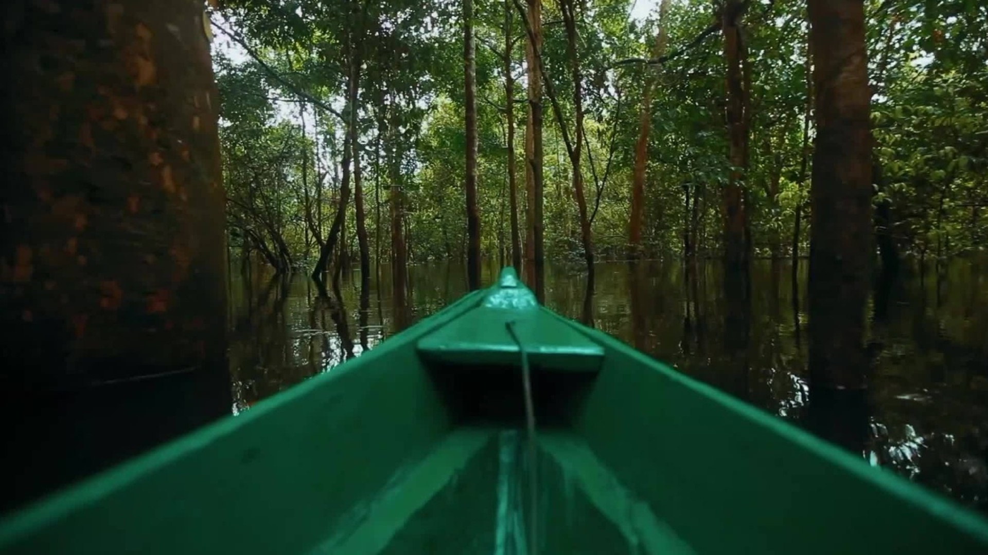 Amazônia: Novas Histórias : Ecoturismo