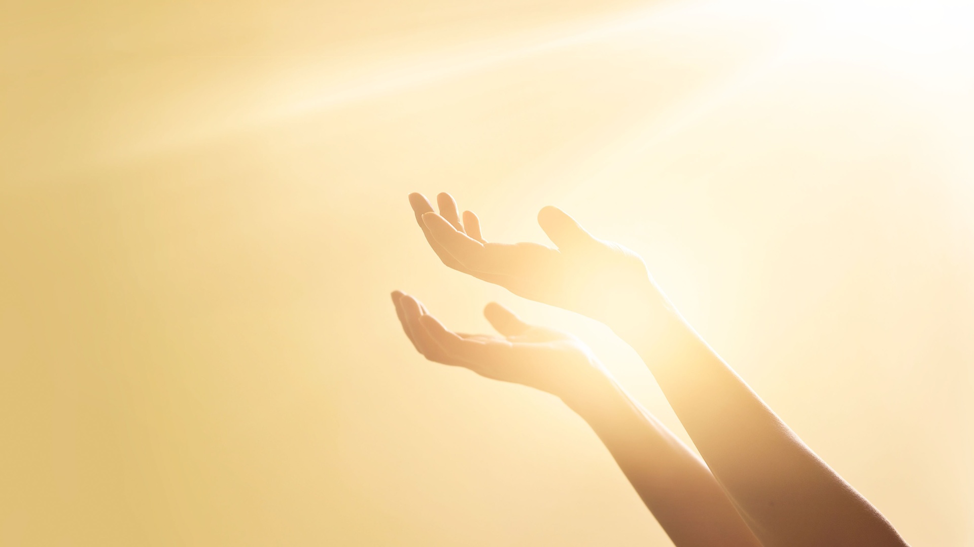 A Palavra de Deus para Hoje