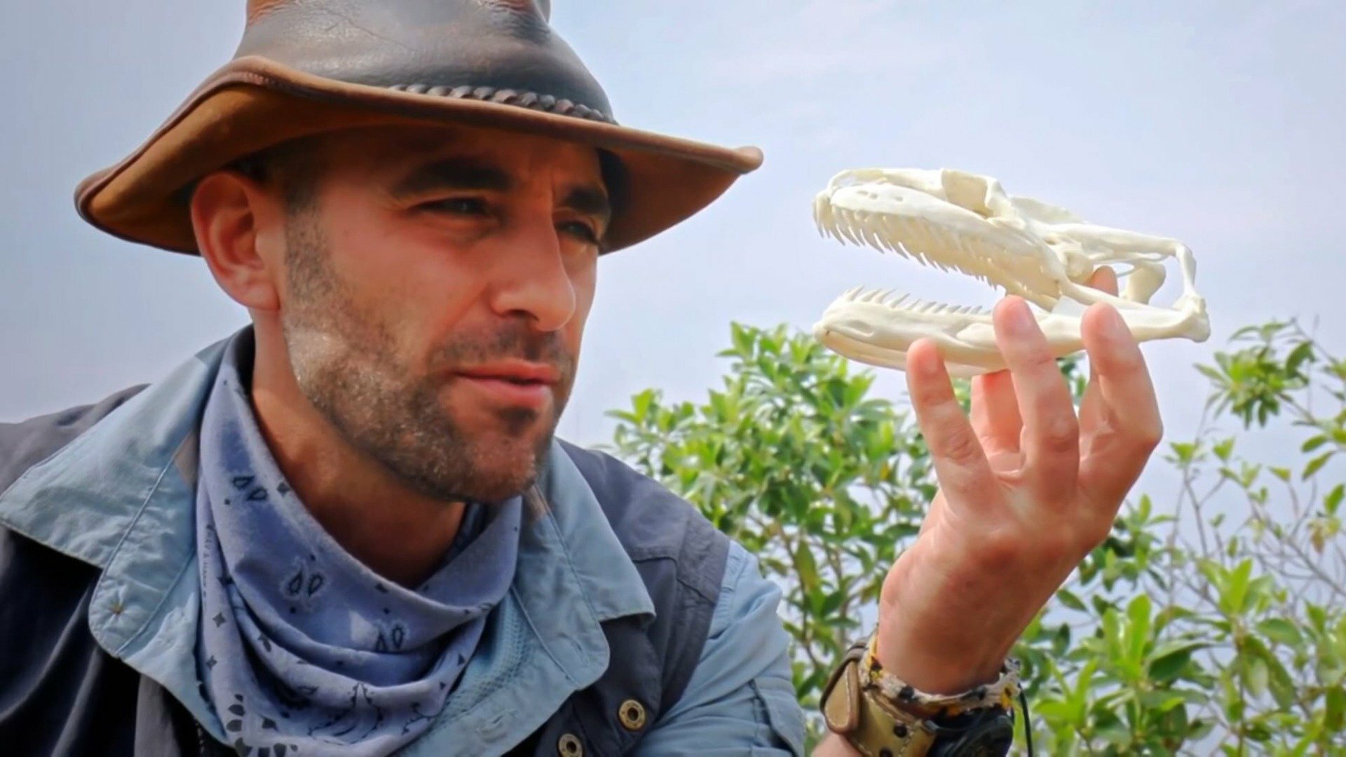 Encontro Selvagem com Coyote Peterson : No Covil da Sucuri