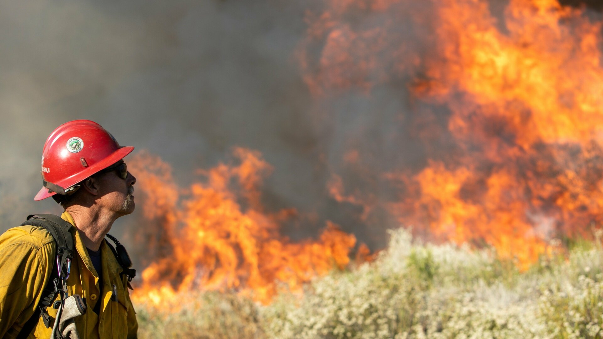 Califórnia em Chamas : Sacrifício