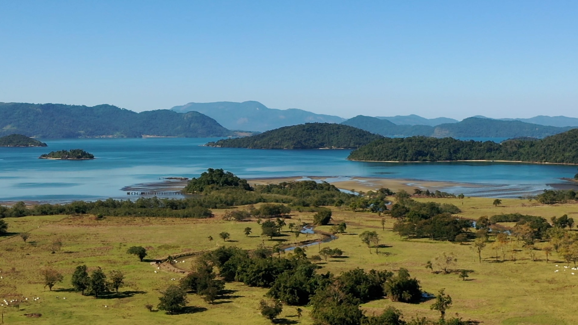 Caminhos da Reportagem : O Boom das Canetas Emagrecedoras