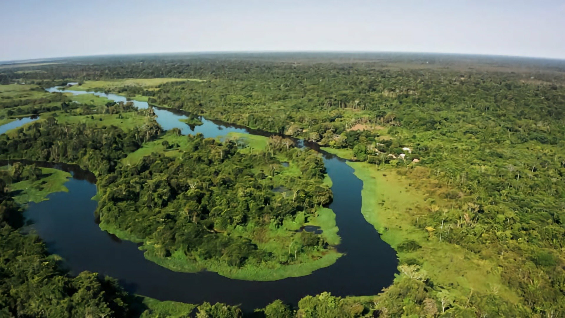 Amazônia, Arqueologia da Floresta : A Terra dos Povos