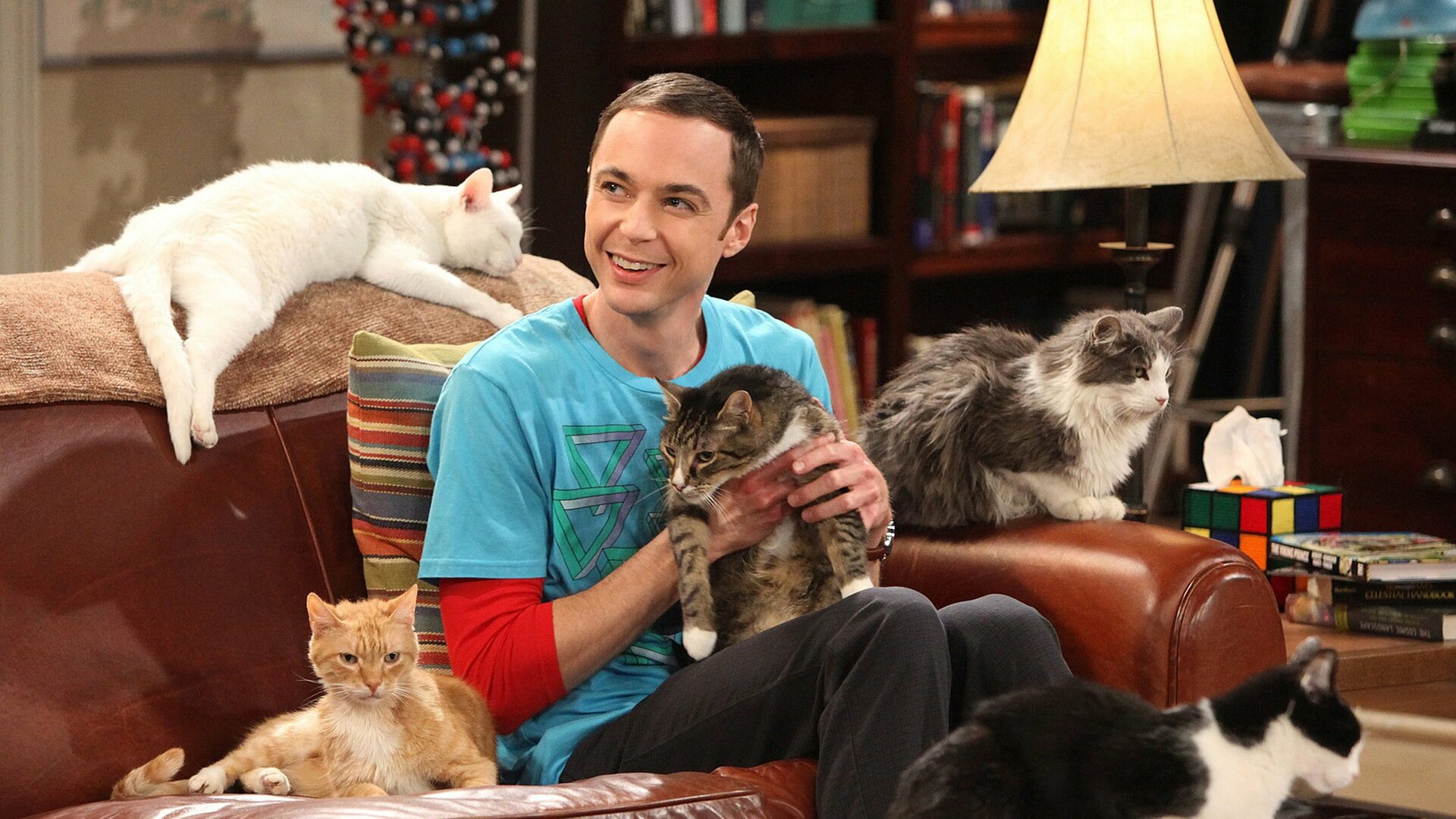 The Big Bang Theory : The Zazzy Substitution