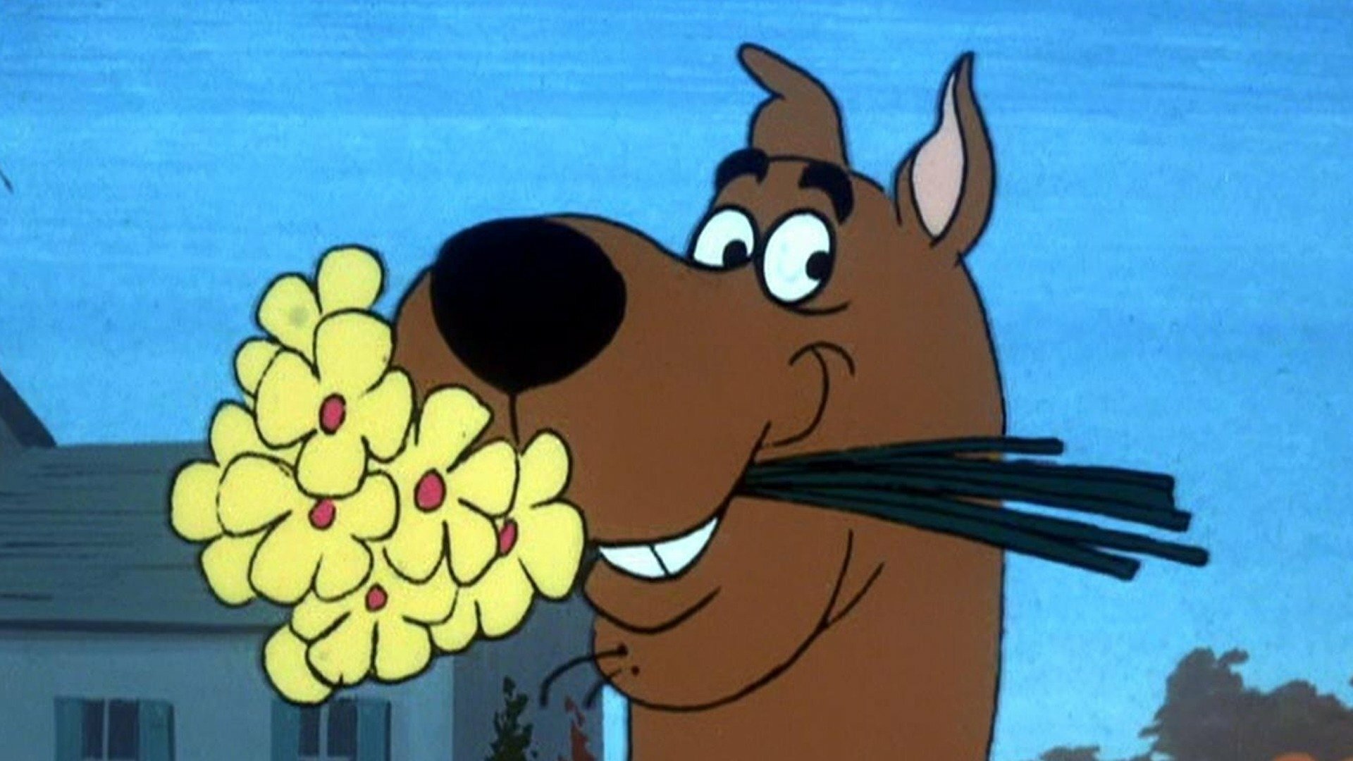 Scooby Doo, Cadê Você? : Isca para Ladrão