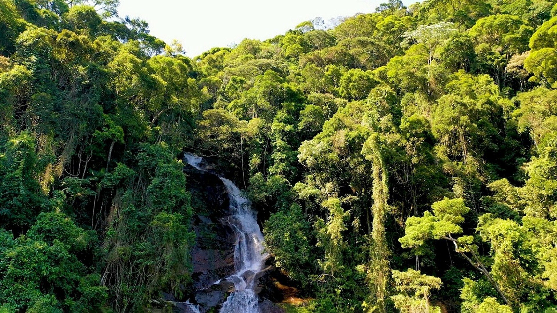 Brasil Sobre Duas Rodas : Parque Nacional da Tijuca