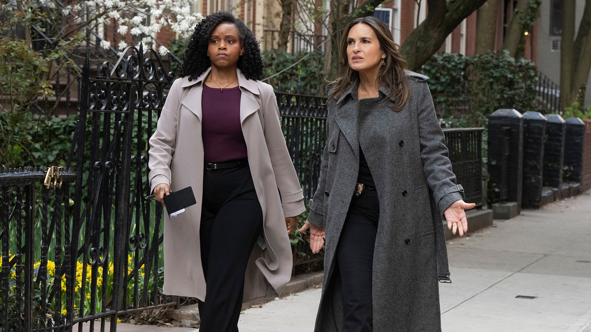 Law & Order: Special Victims Unit : Pós-Raiva