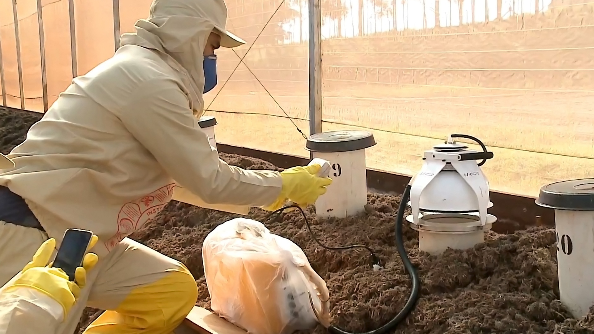Ciência sem Limites : Compostagem com Lodo de Esgoto