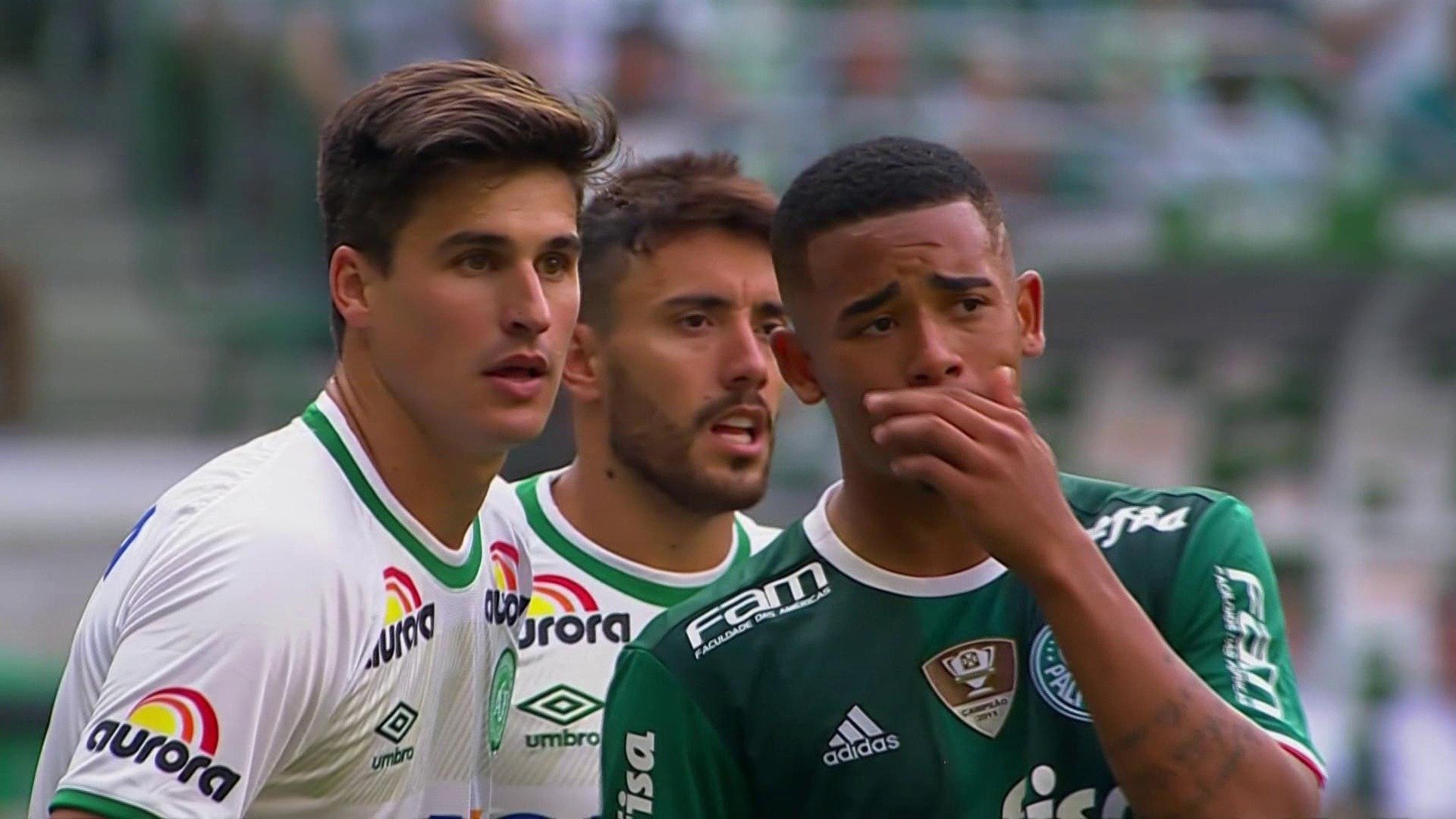 Campeonato Brasileiro : 2016: Palmeiras x Chapecoense