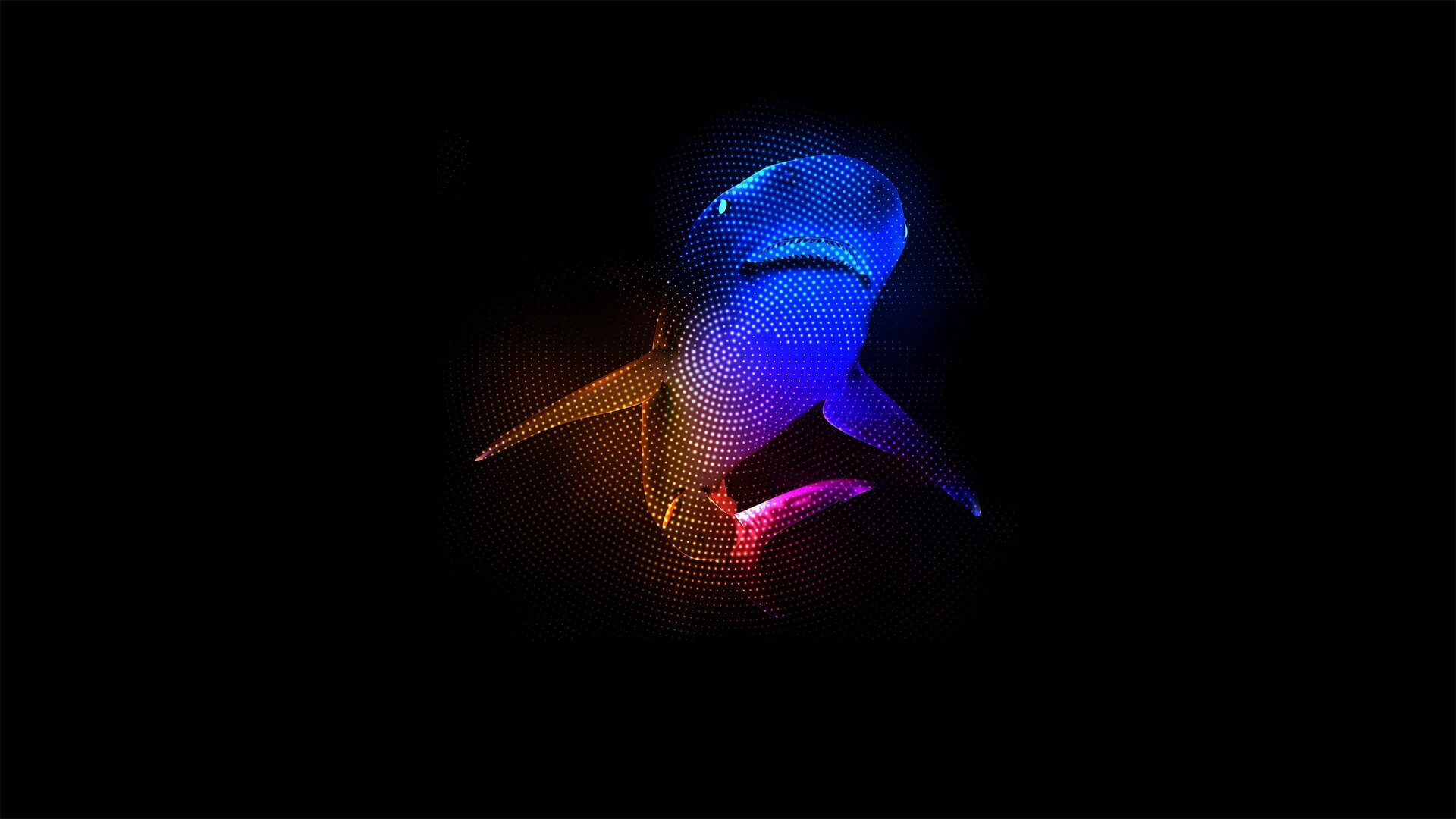 Berçário de Tubarões