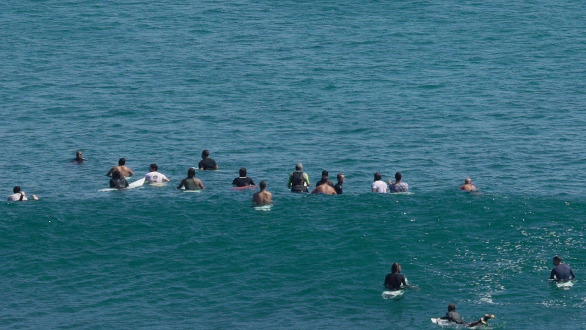 Crowd Selvagem : Arpoador