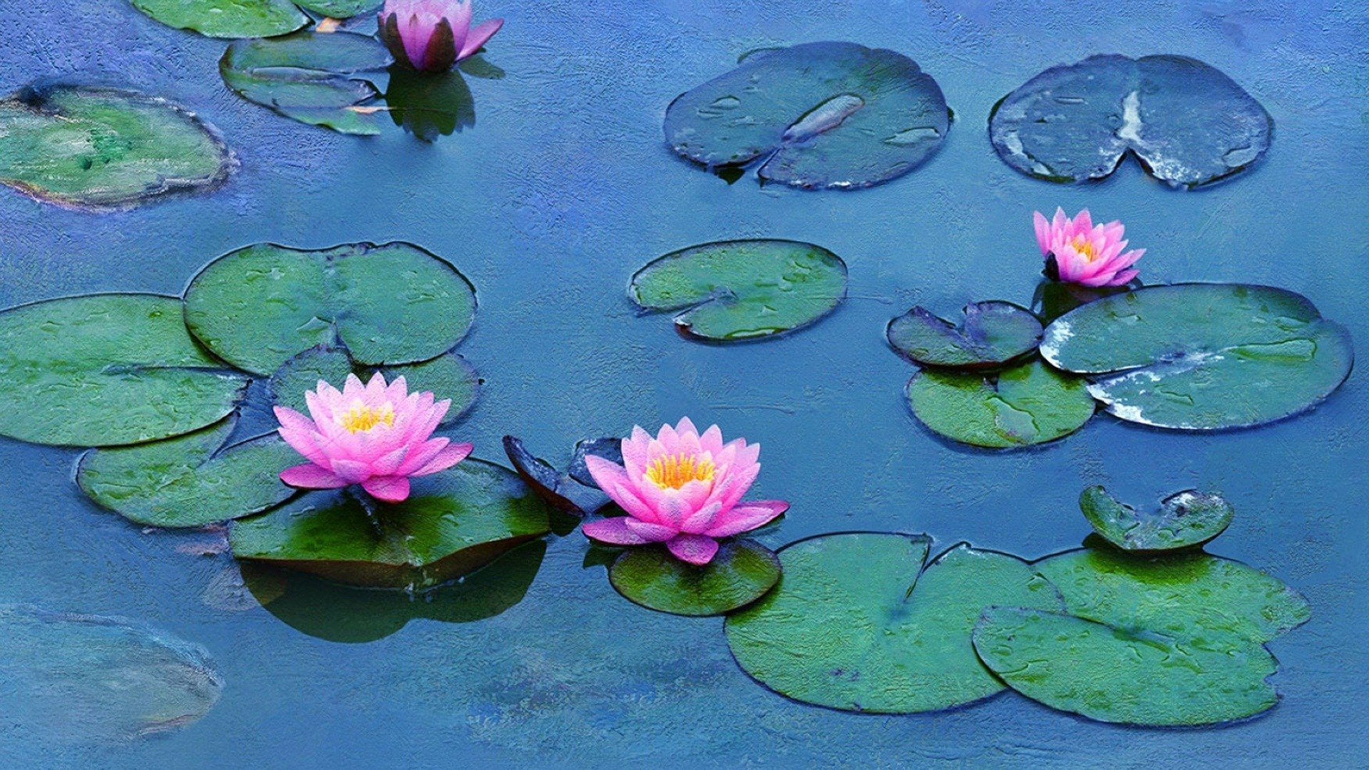 As Vitórias-Régias de Monet