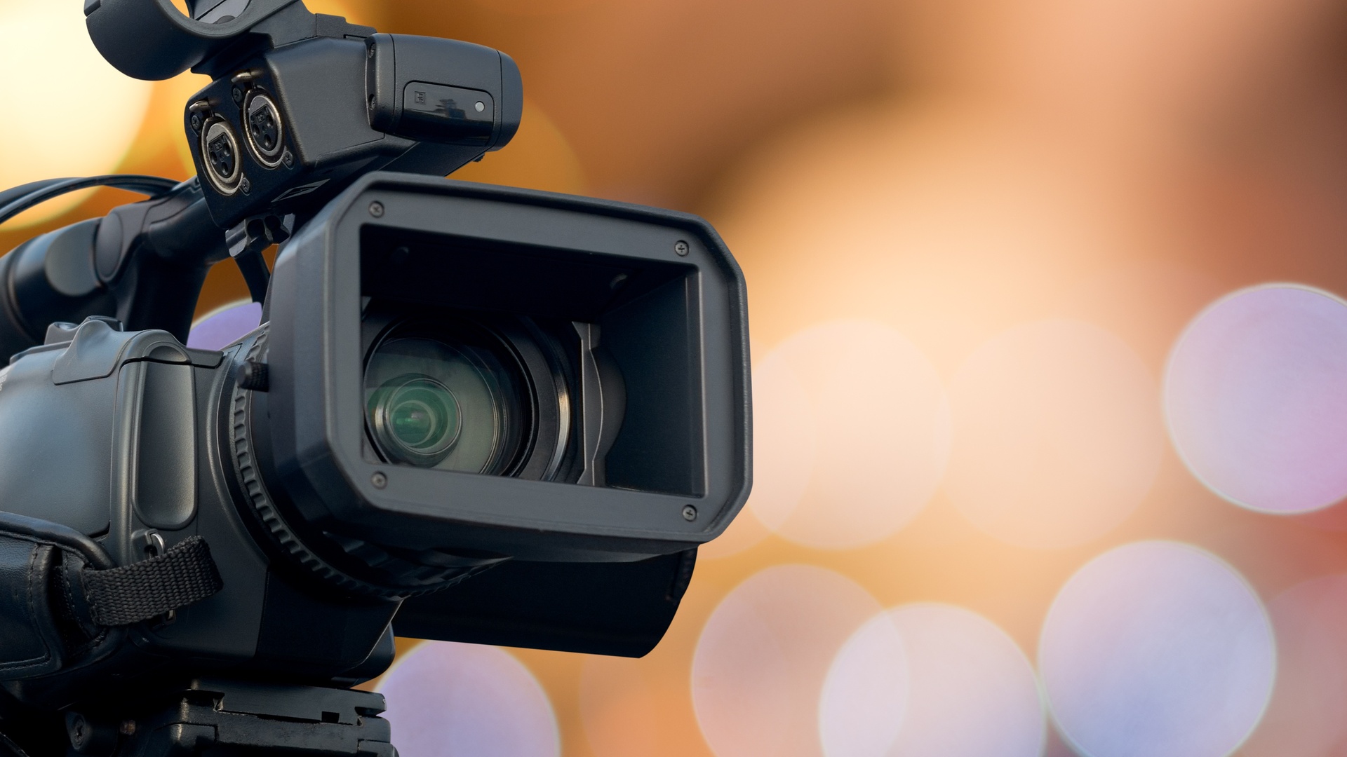 Terraviva Entrevista