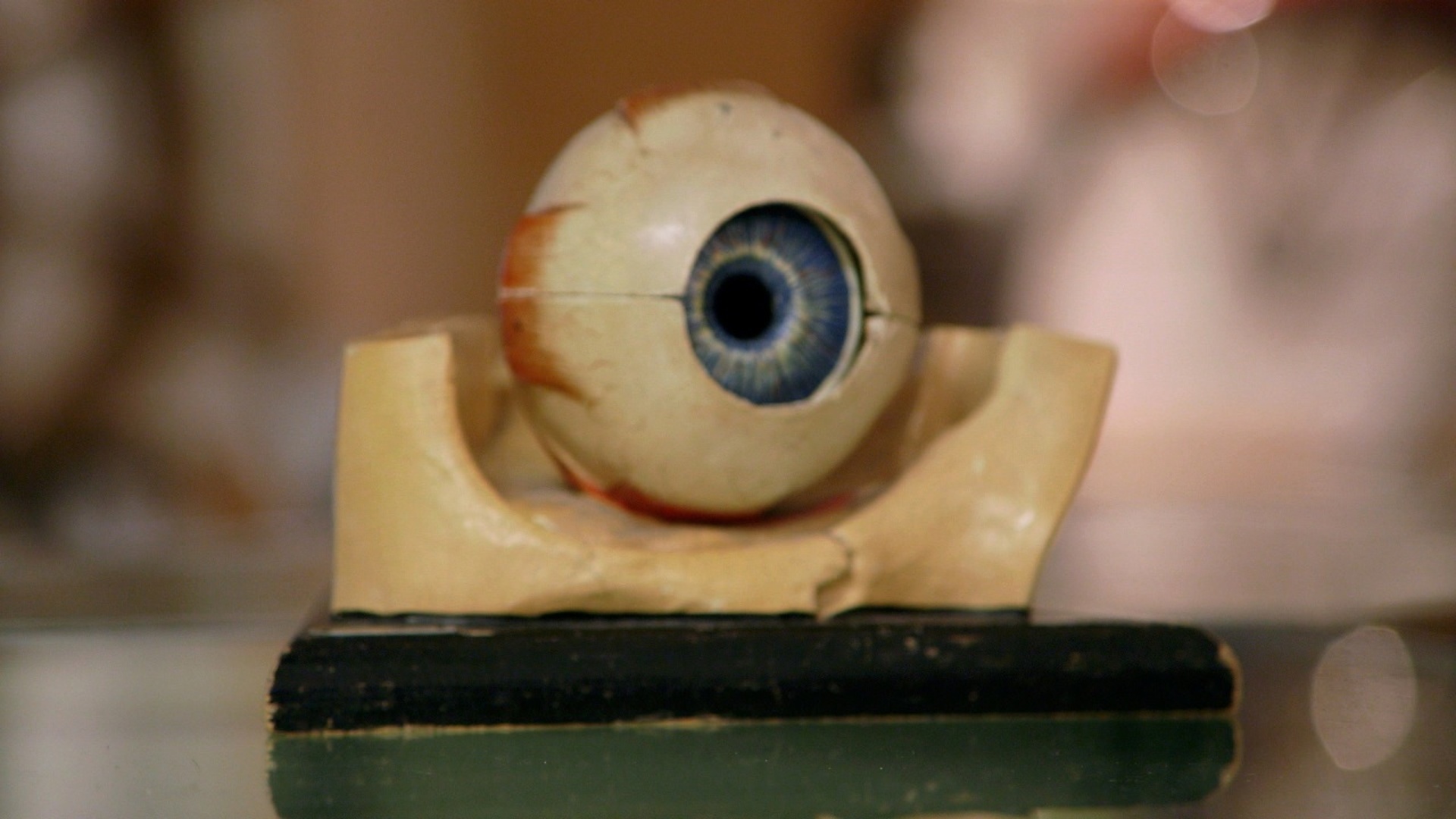 O Melhor de Trato Feito : Estranho e Extravagante