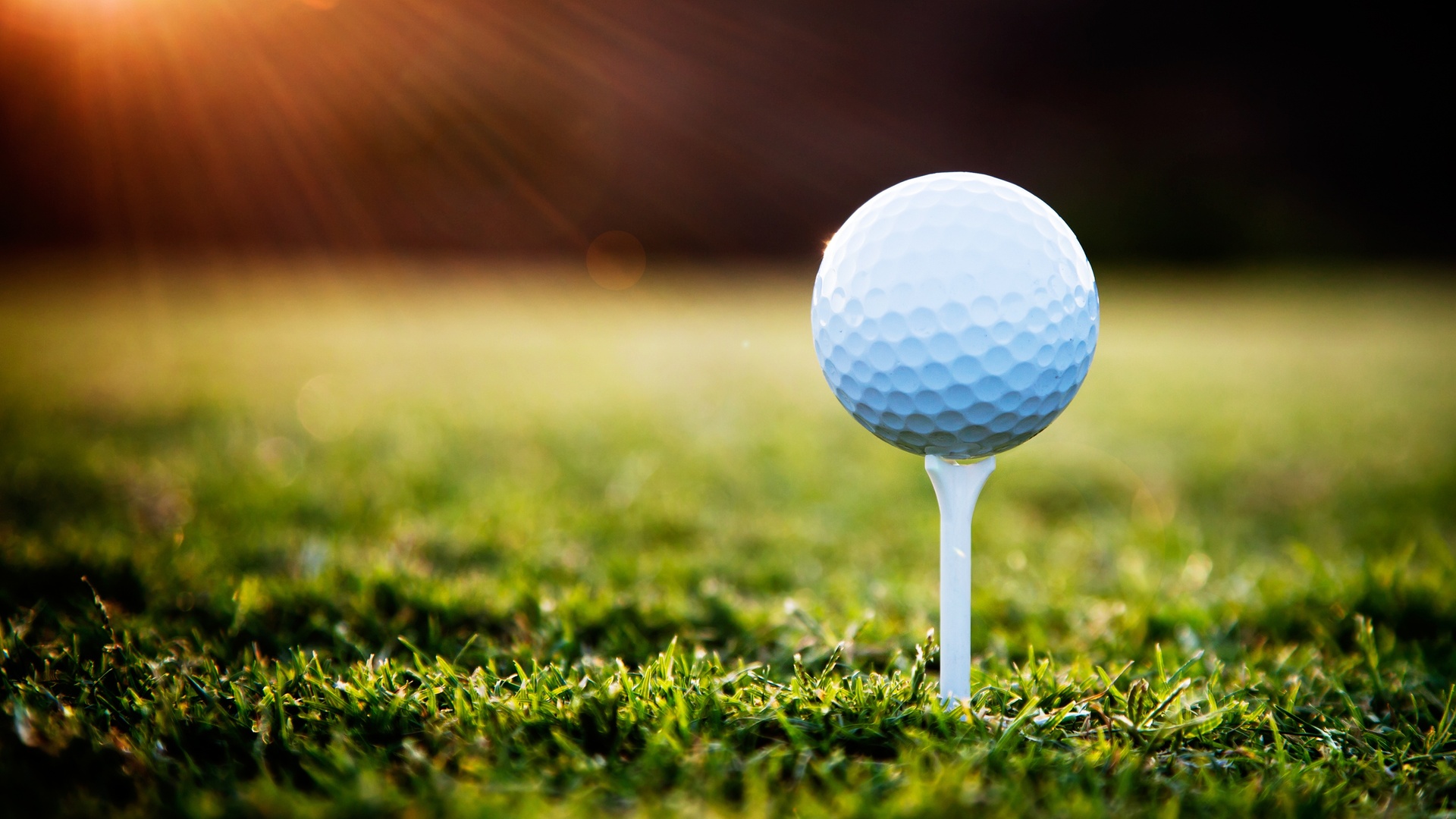 PGA Tour de Golfe - Texas Children's Houston Open - Segunda Rodada : Texas Children's Houston Open - Segunda...