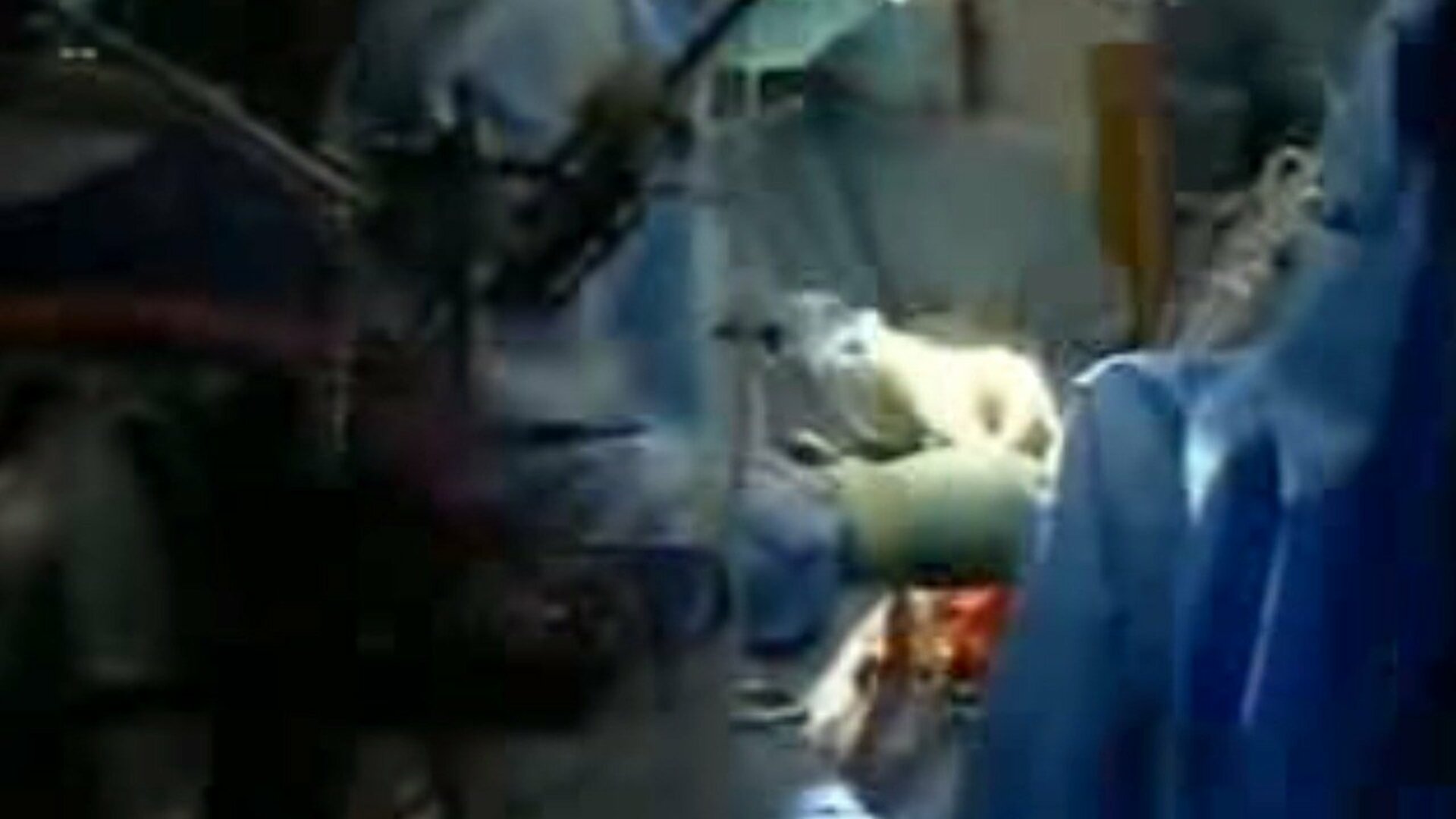 Por Dentro do Assunto : O Cérebro