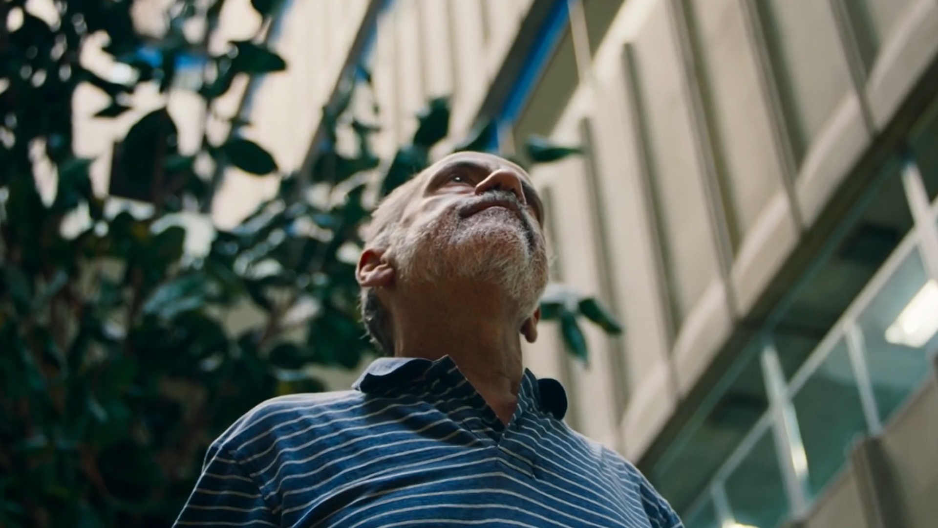 Ciência para Todos : Combate ao Câncer