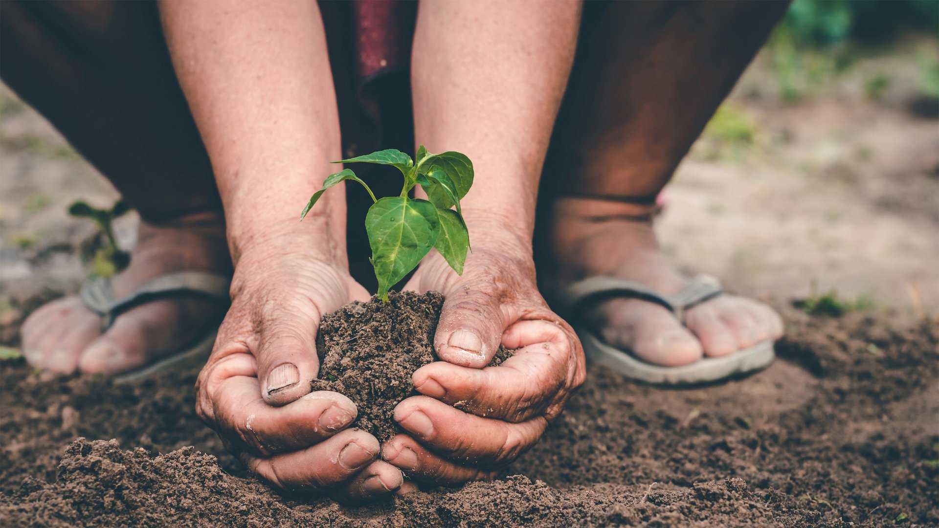 Kyoto's Hidamariya Garden Shop