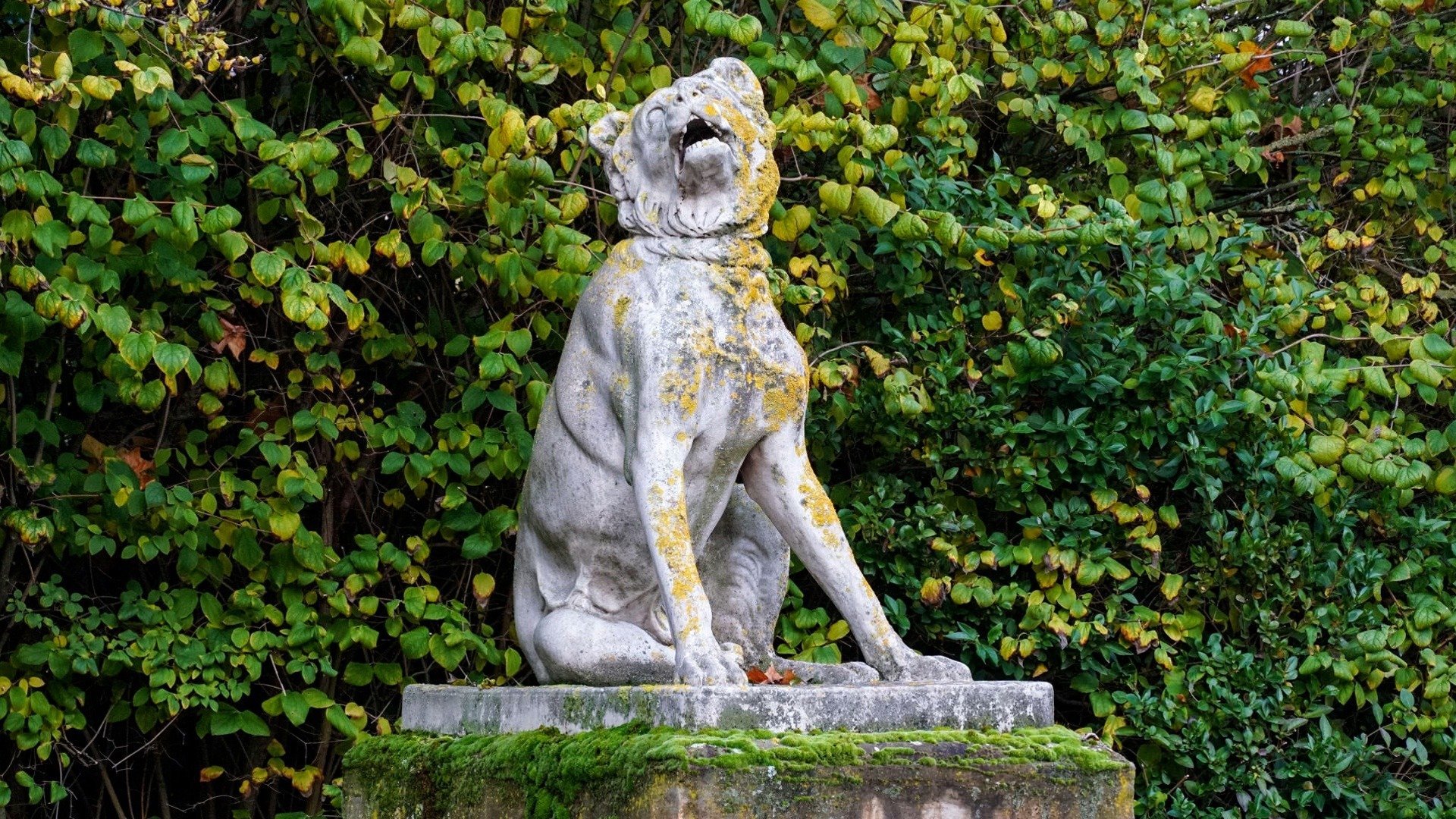 Inexplicável - Com William Shatner : Monstros da Vida Real