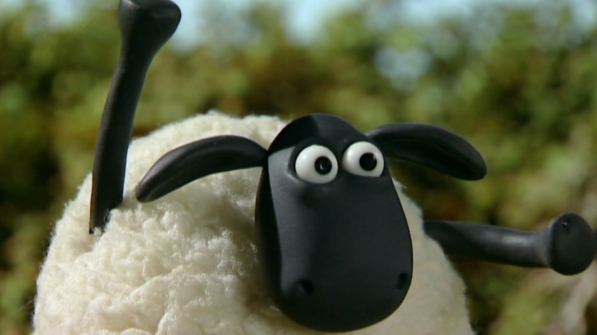 Shaun, o Carneiro : Montinhos