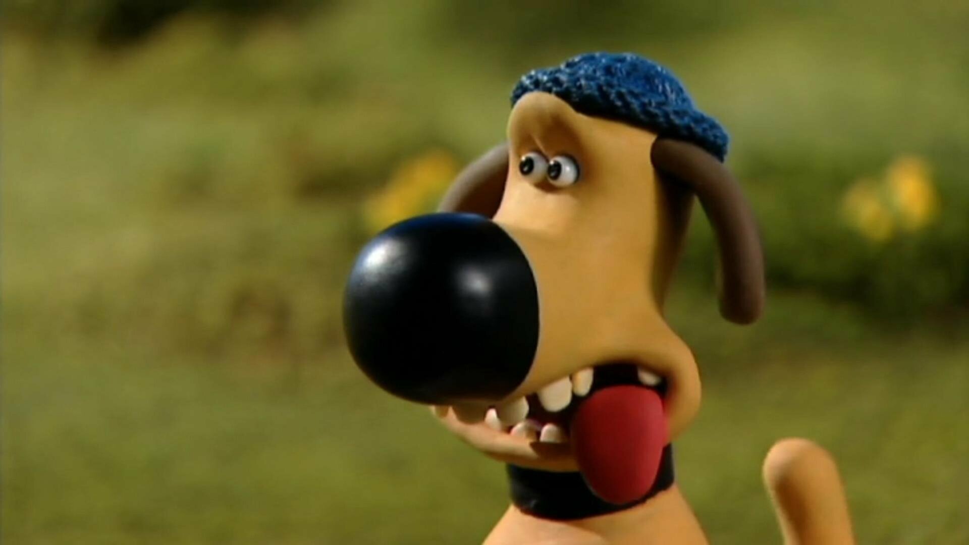 Shaun, o Carneiro : Caos no Acampamento