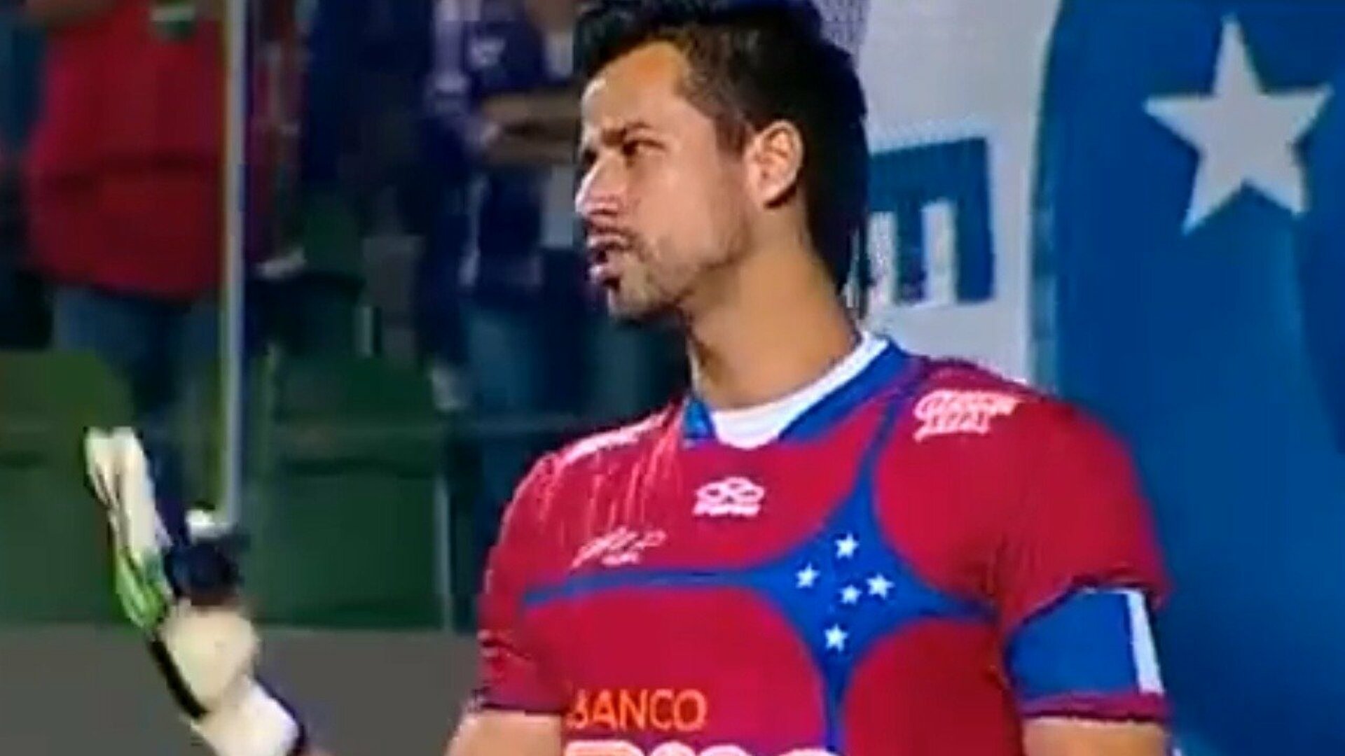 Campeonato Brasileiro : 2012: Cruzeiro x Santos