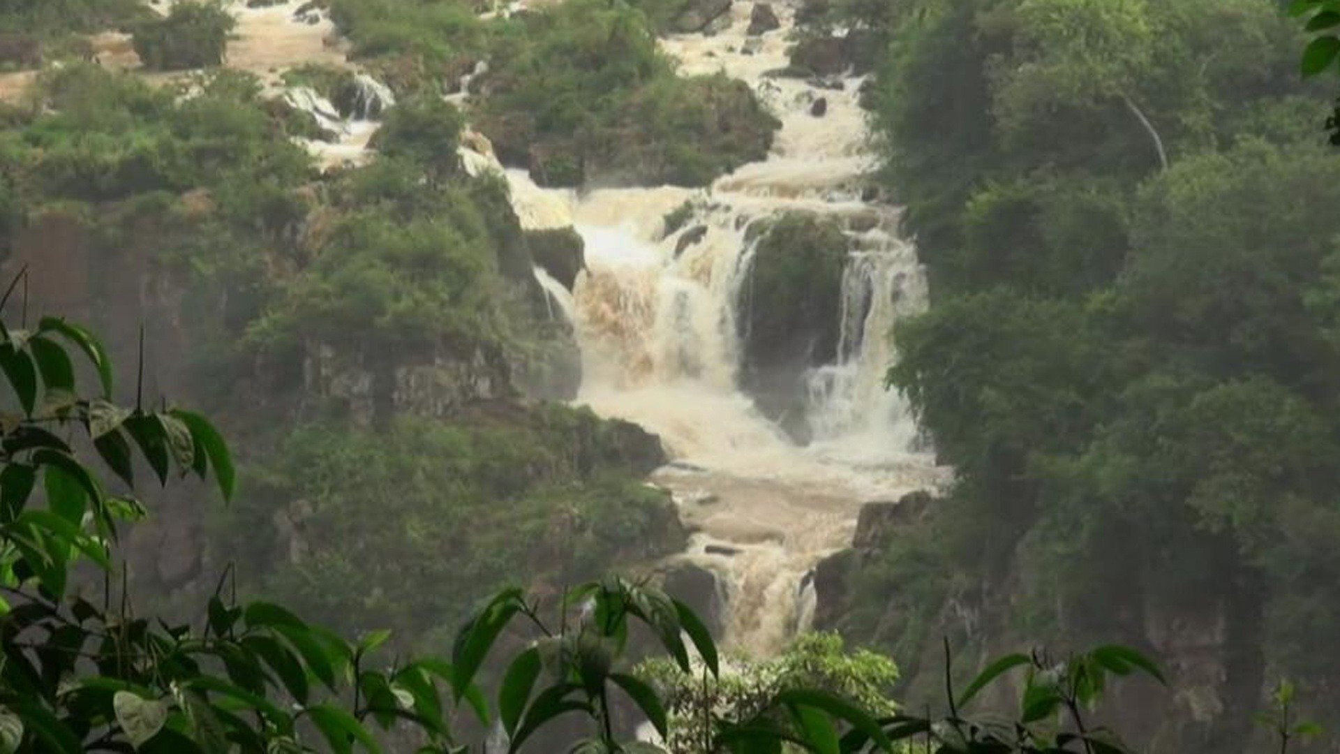 Expedições : Foz do Iguaçu