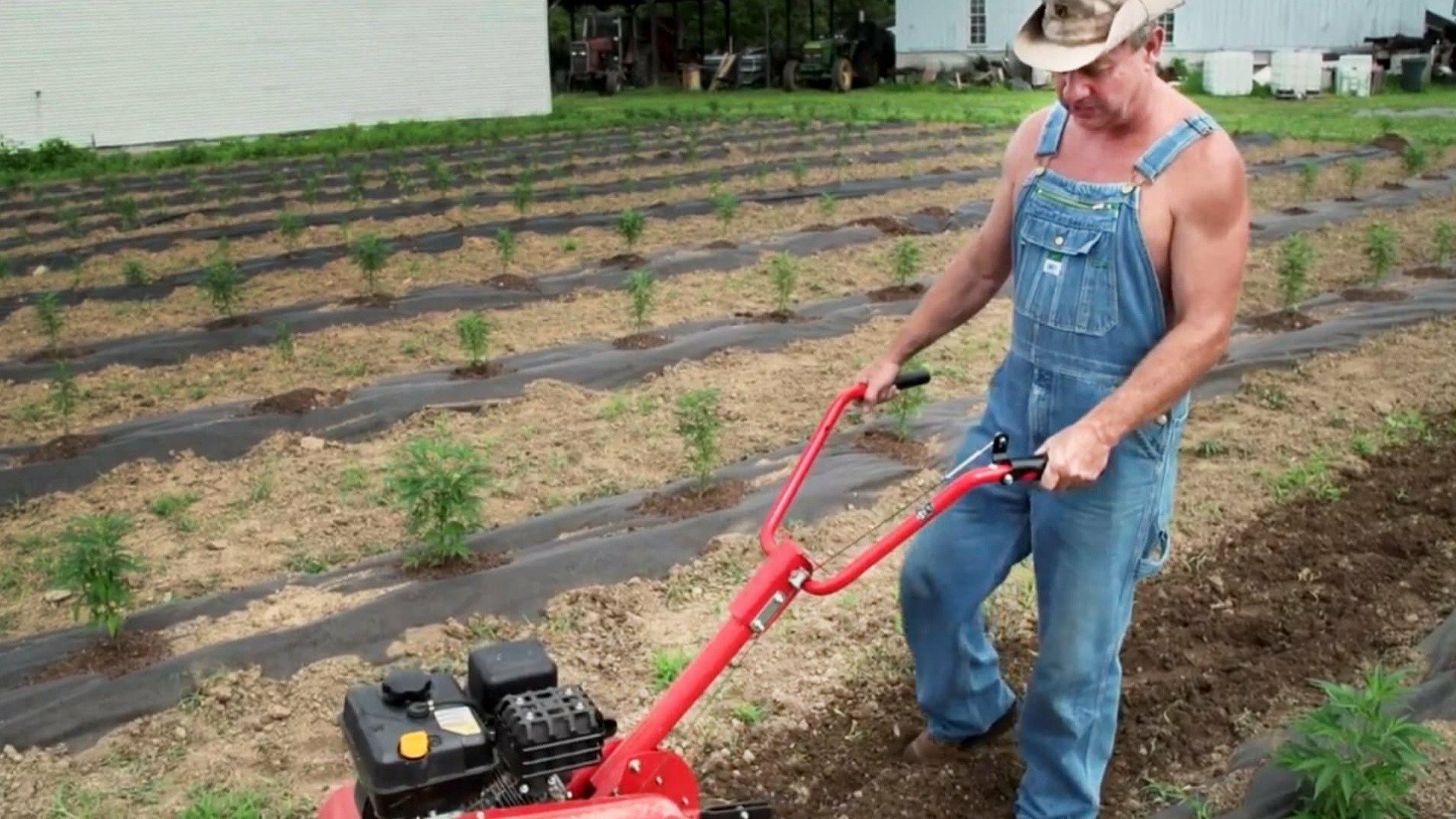 Destiladores : Tradição em Alta