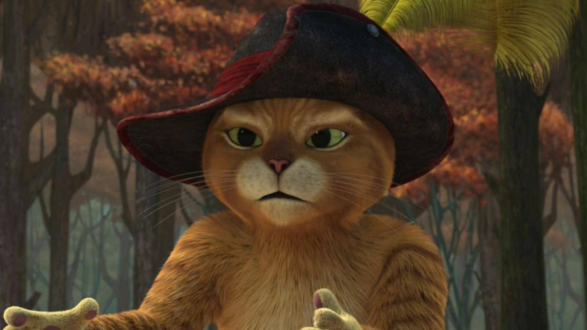 As Aventuras do Gato de Botas : Manuel de Sapatos