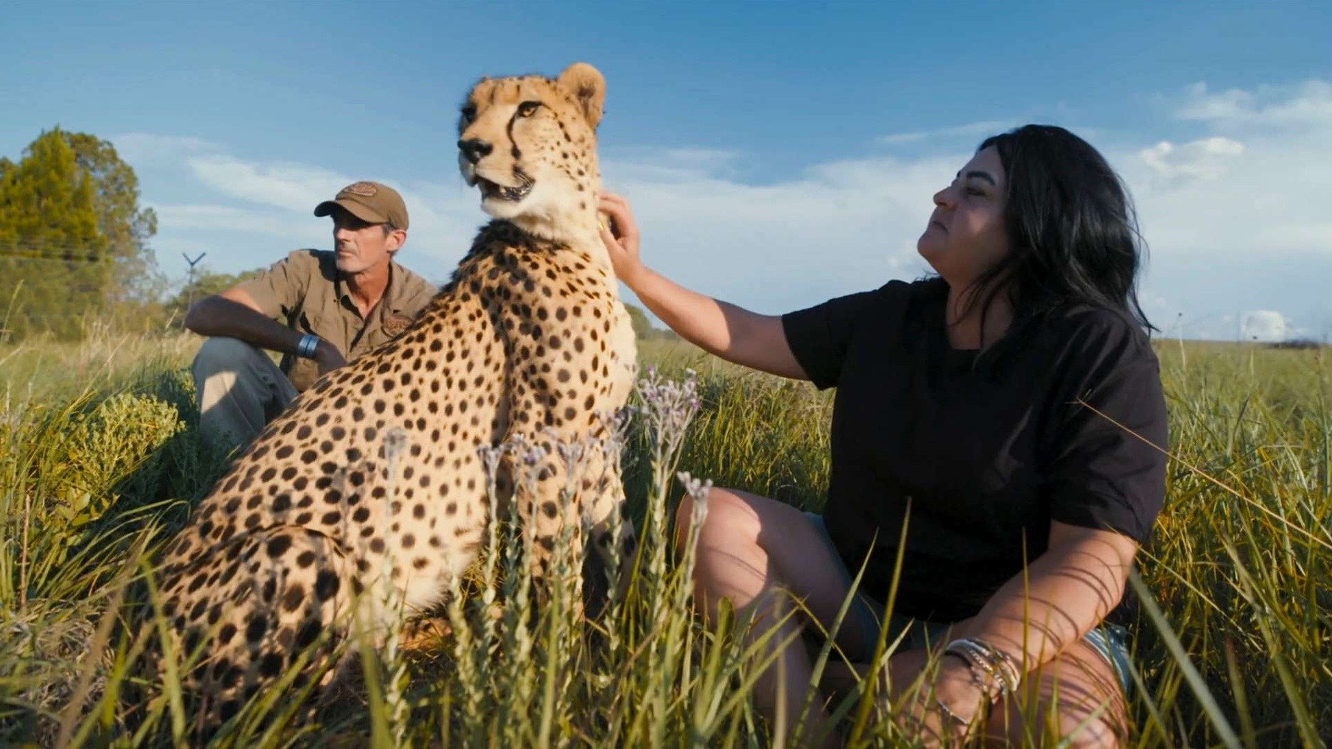O Vínculo : Um Hóspede Selvagem