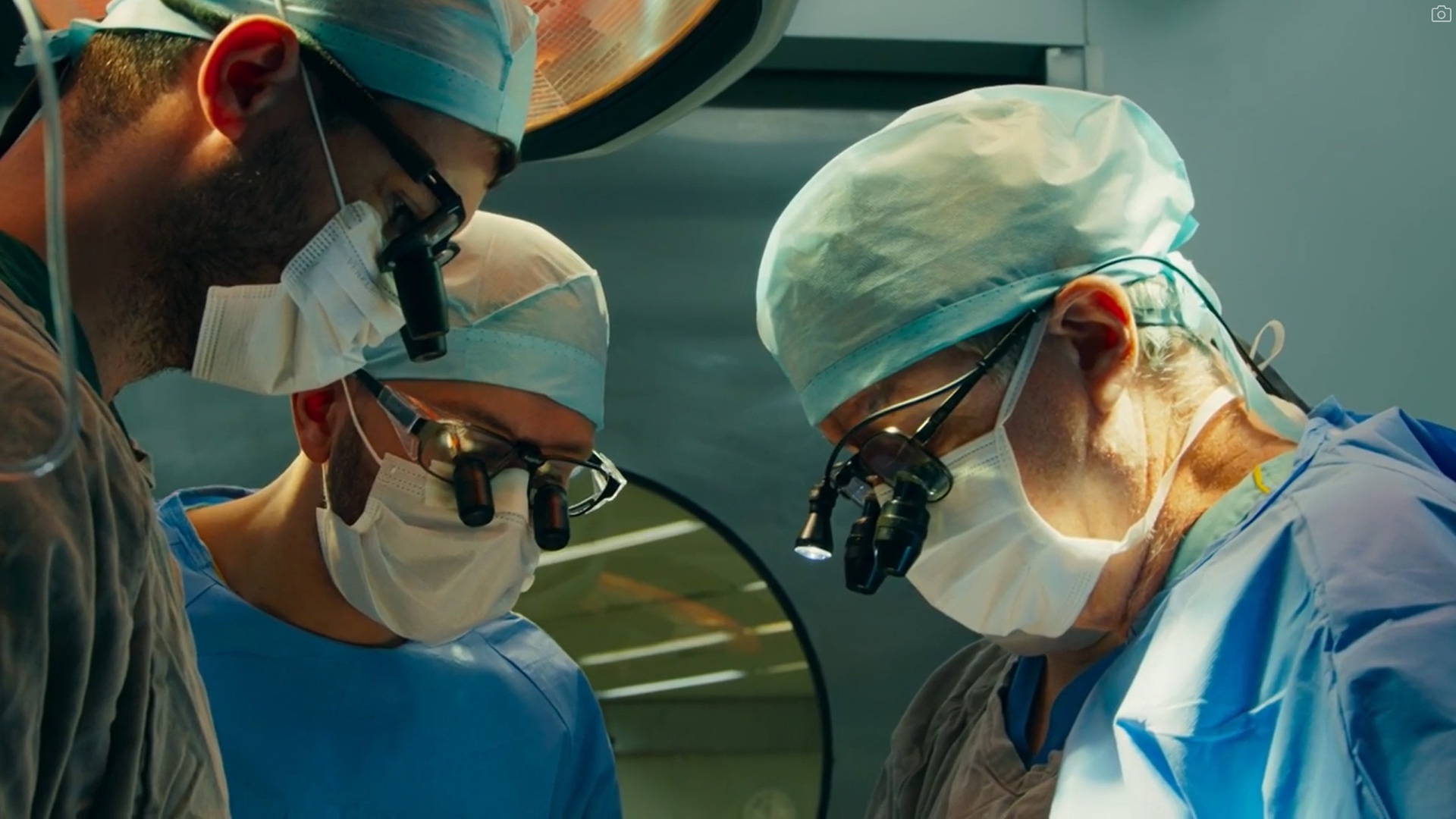 Ciência para Todos : Transplante Entre Diferentes Espécies