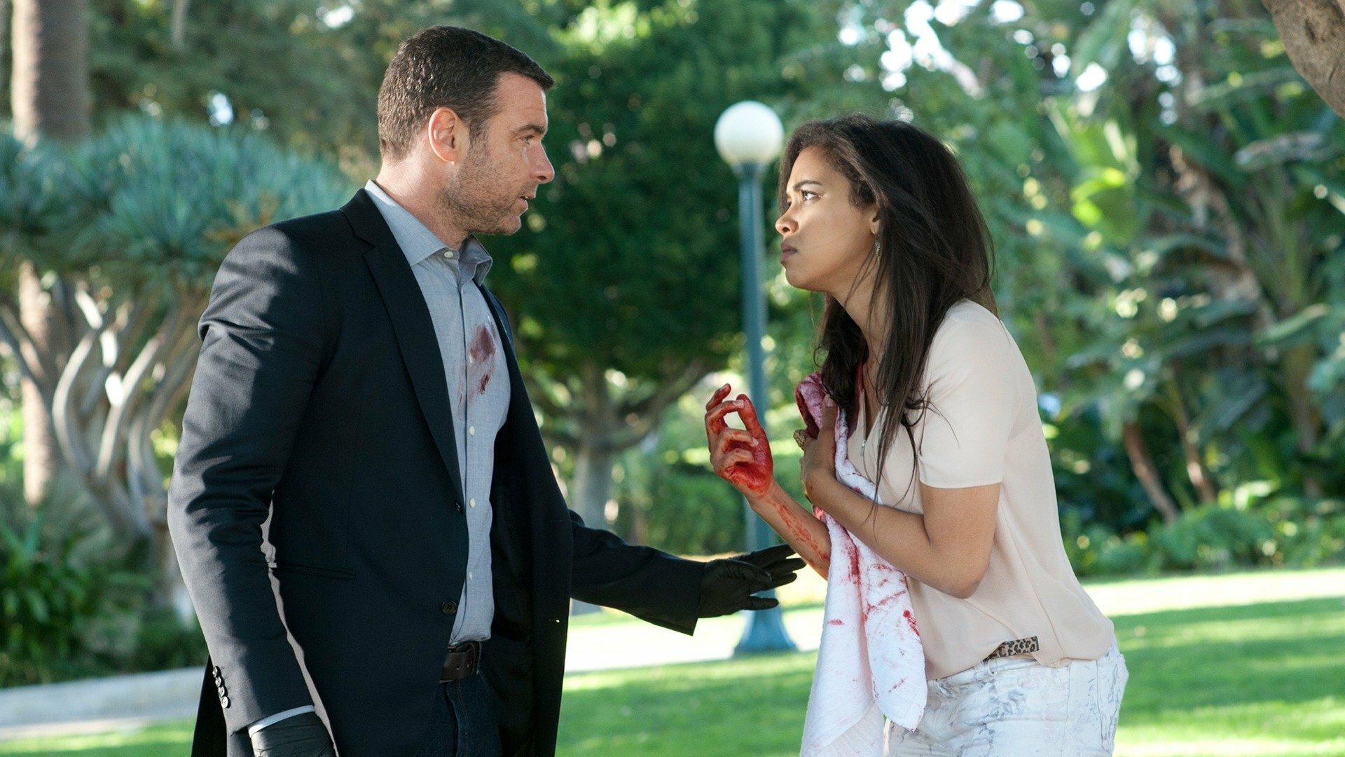 Ray Donovan : Eu Sou o Capitão