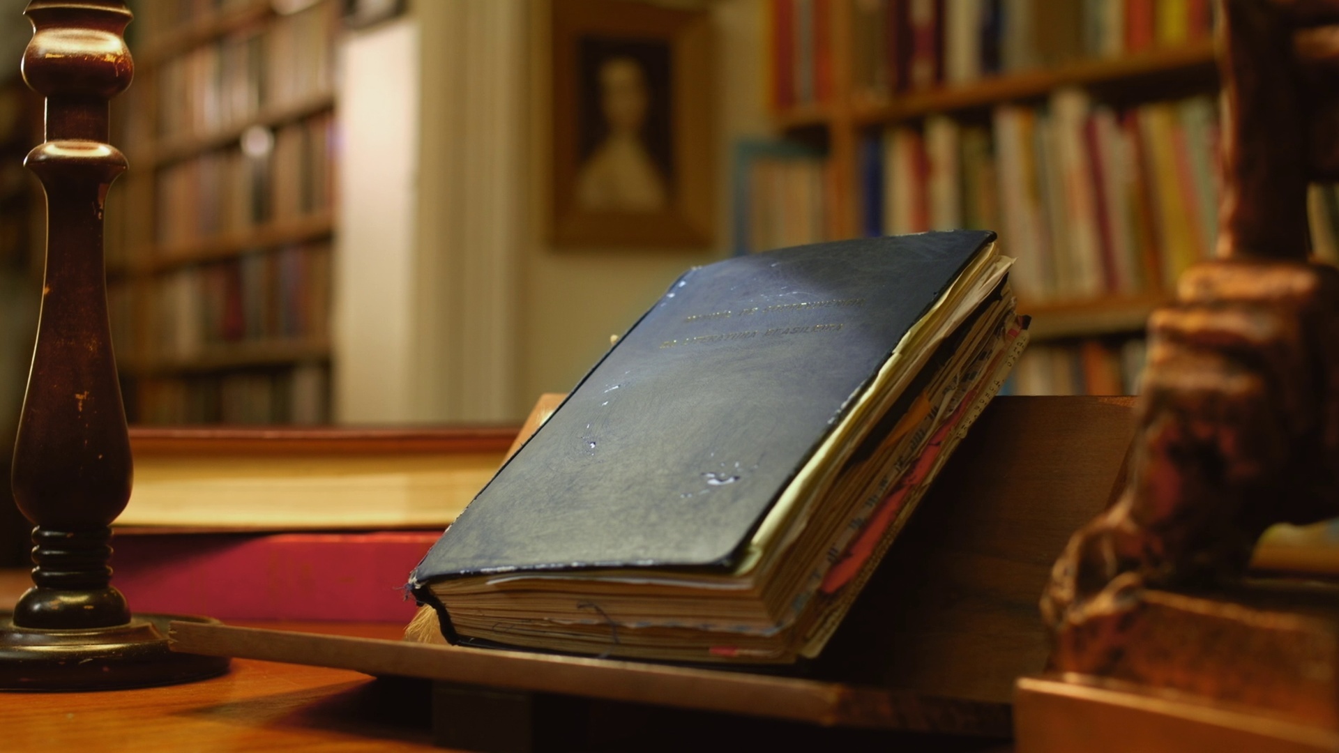 Manual de Sobrevivência da Literatura Brasileira : Coletânea de Poesias
