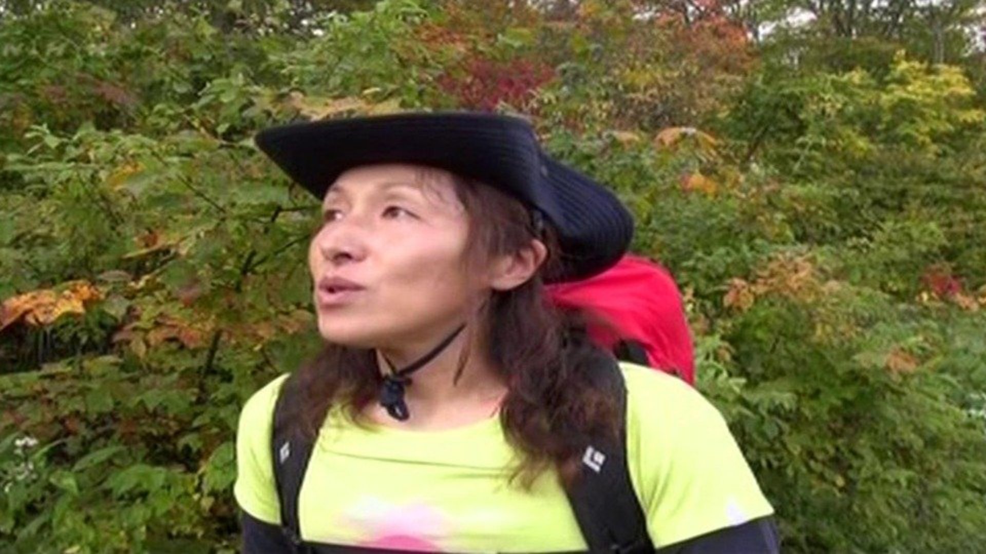 100 Beautiful Mountains of Japan Mini