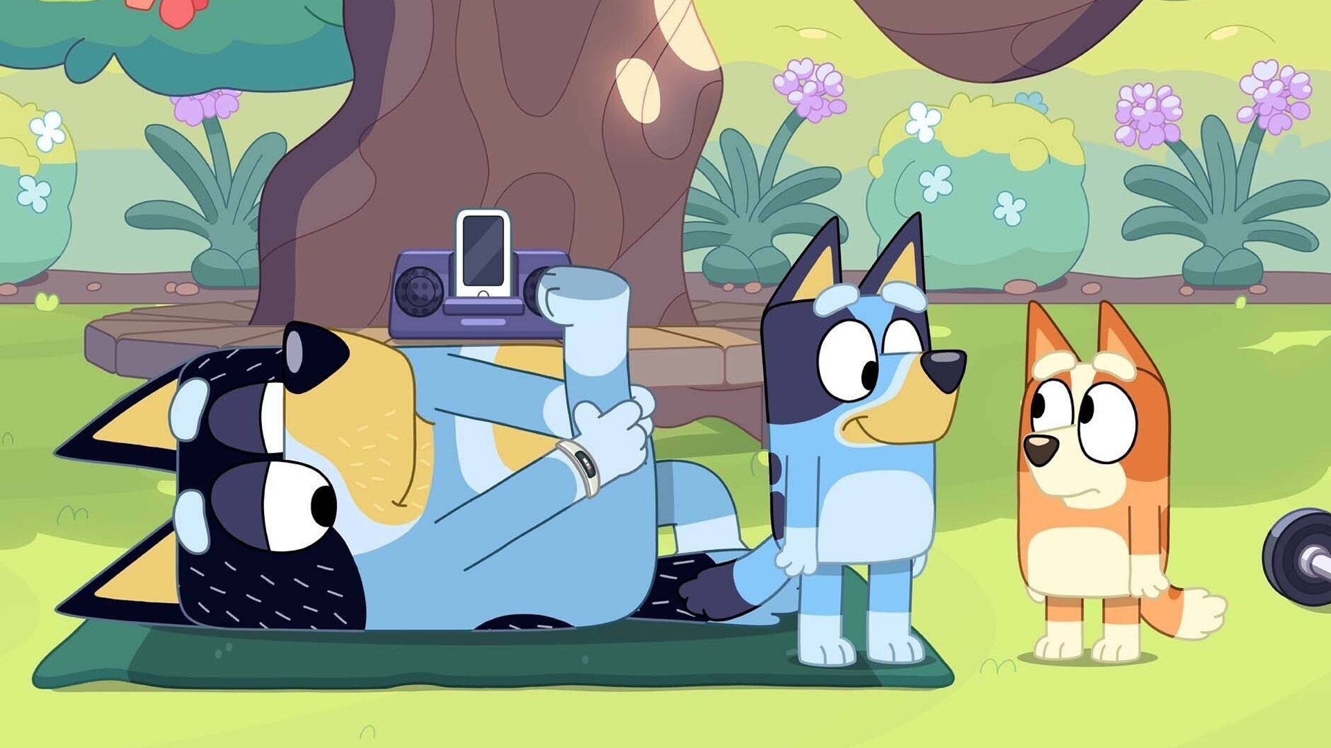Bluey : Exercício; Relaxar