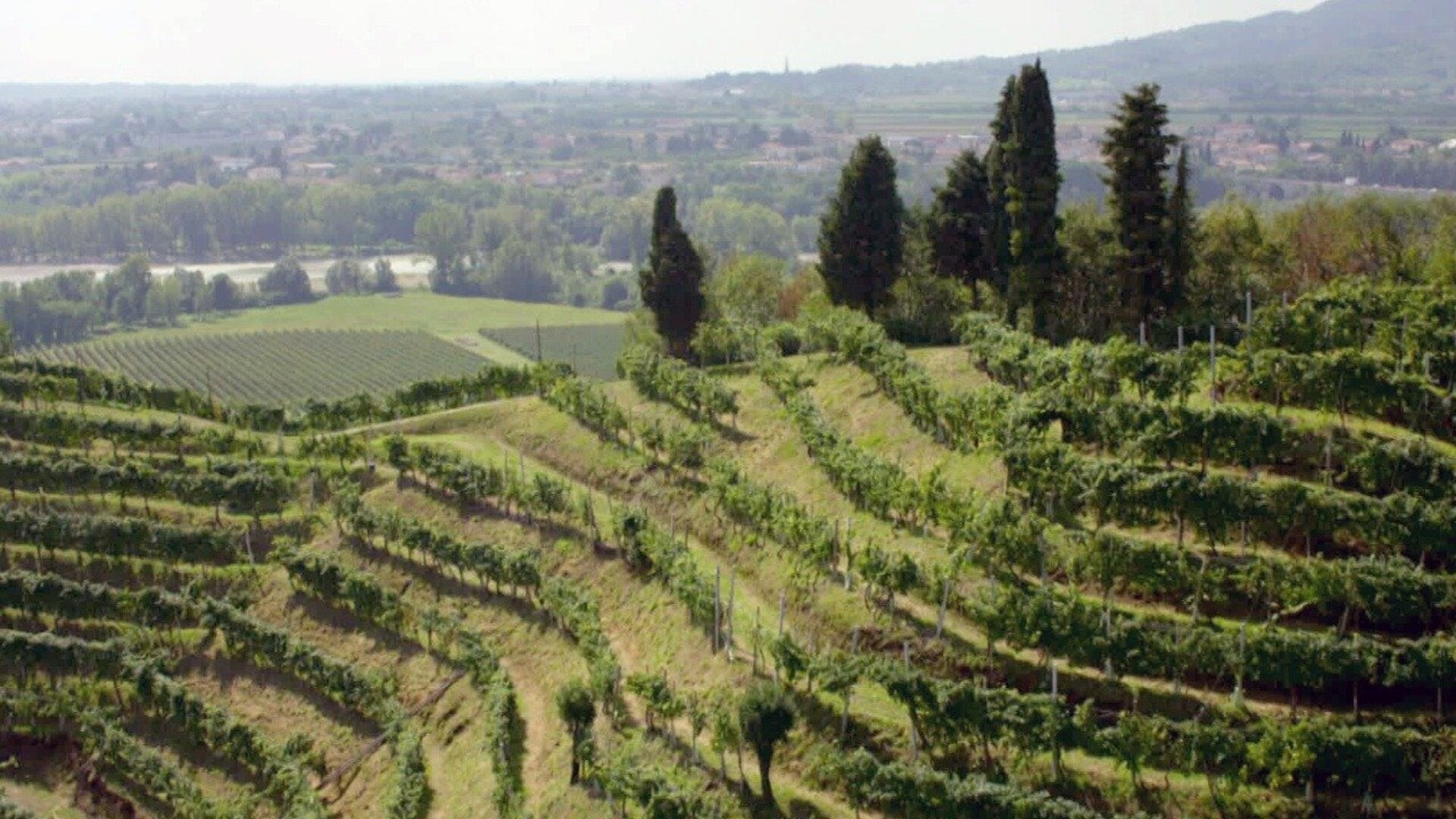 Vinícolas ao Redor do Mundo : Itália - Prosecco, Outra História de Veneza