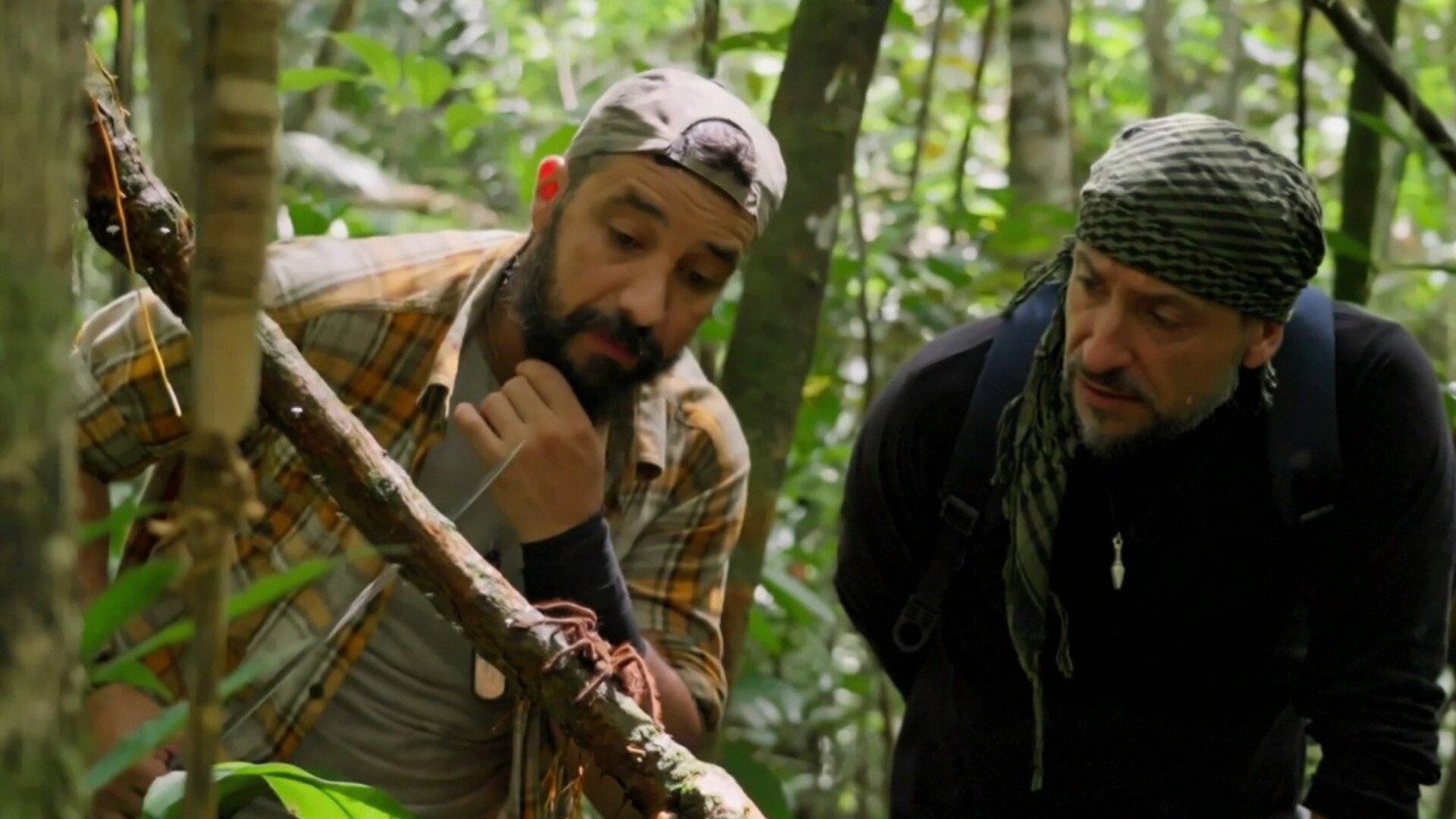 Desafio em Dose Dupla - Brasil : Amazonas
