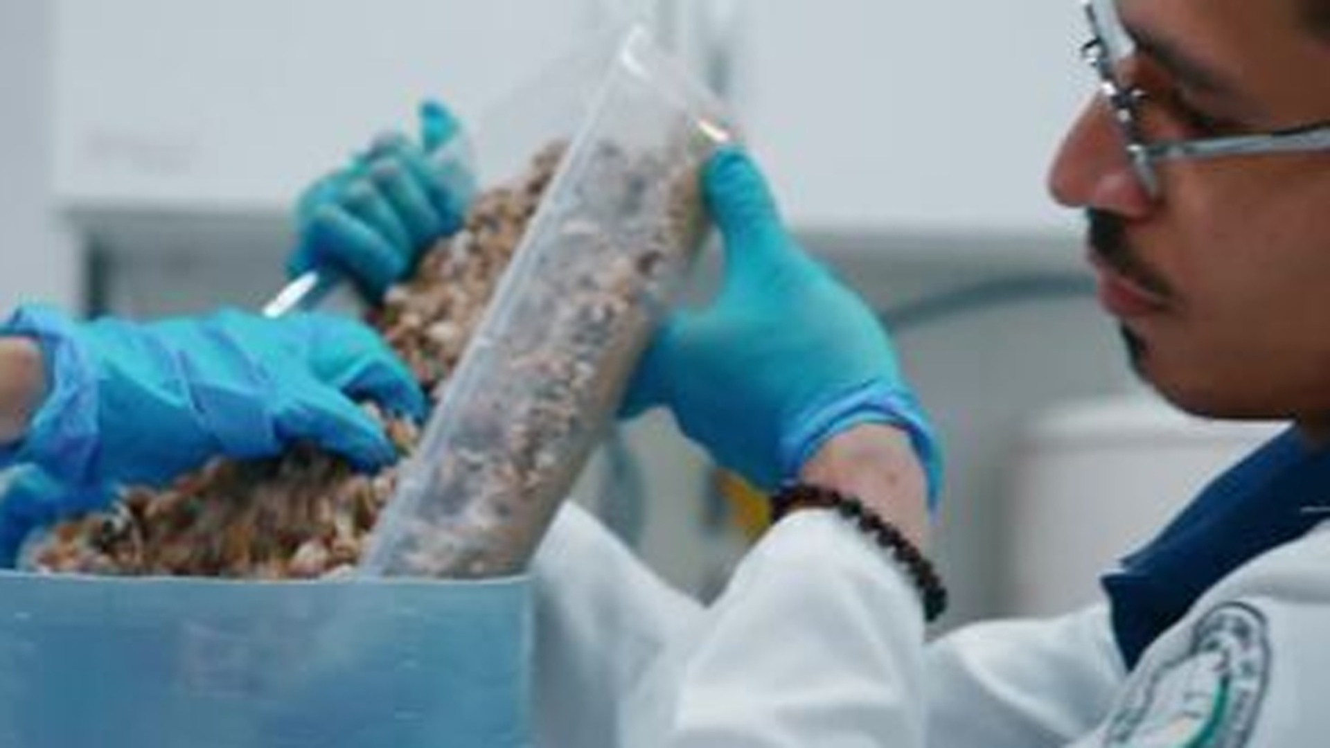 Amazônia: Novas Histórias : Água