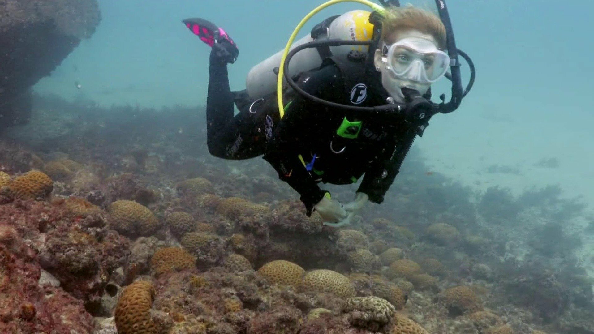 Vida no Azul : O Homem e o Mar