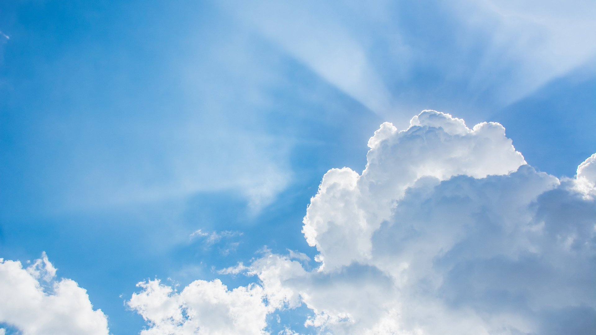 See, Learn, Explore - A Deep Travelogue in Tohoku