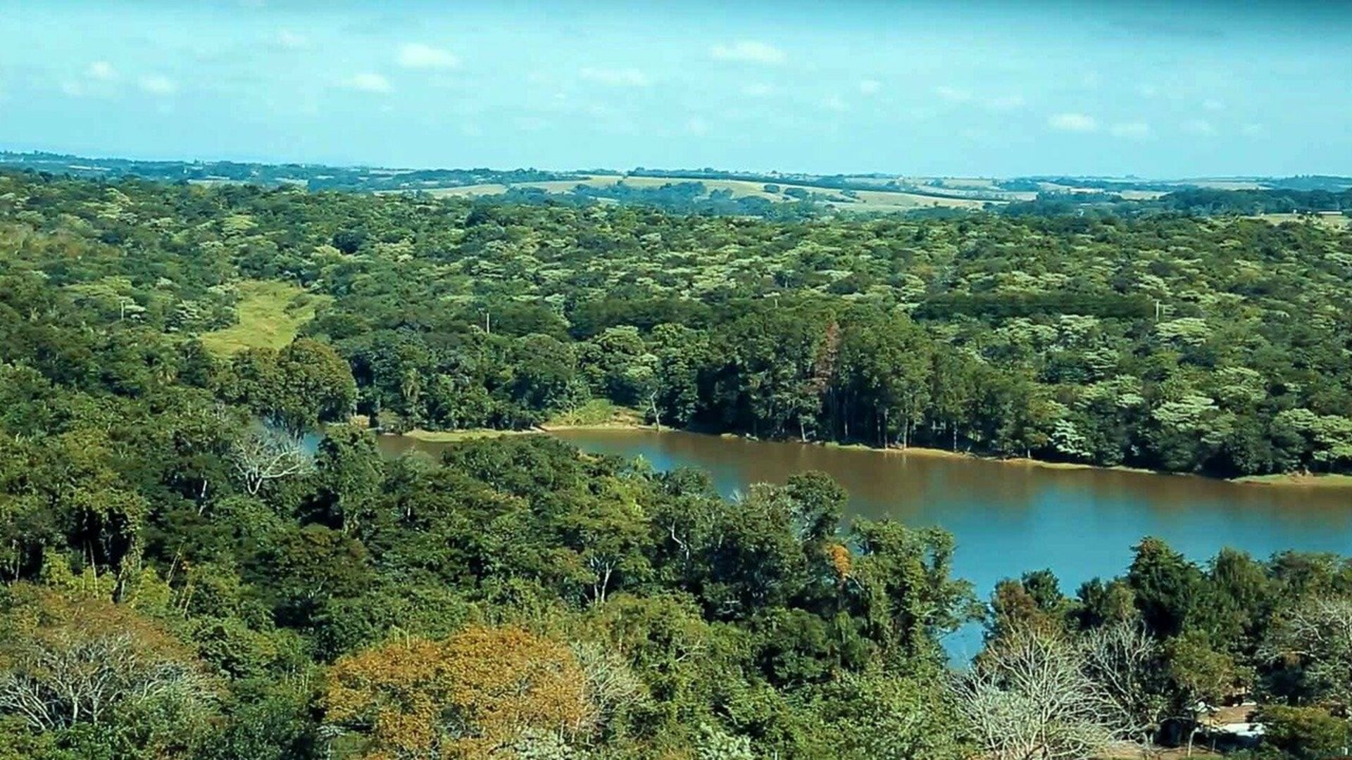 Brasil 2050 : Biodiversidade
