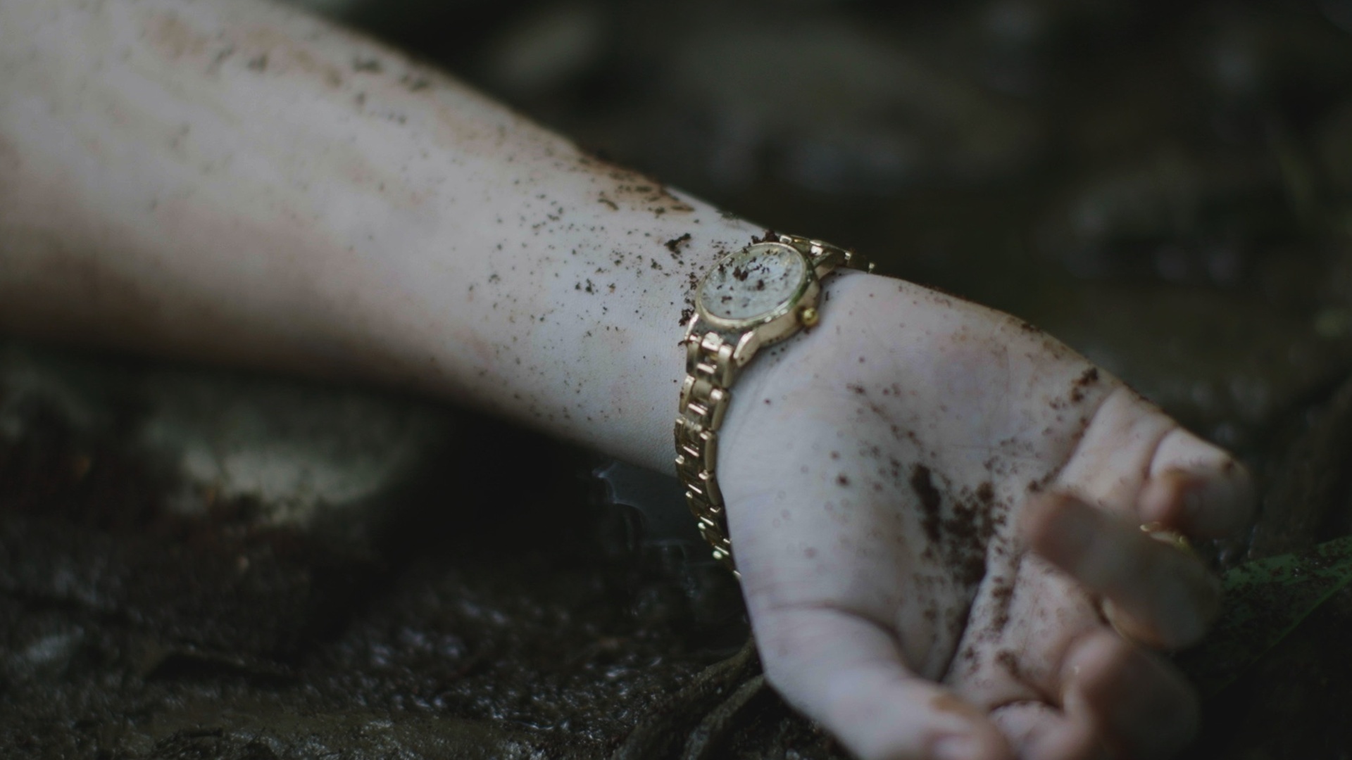 Crimes na Cabana : A Cabana do Rio Mississippi