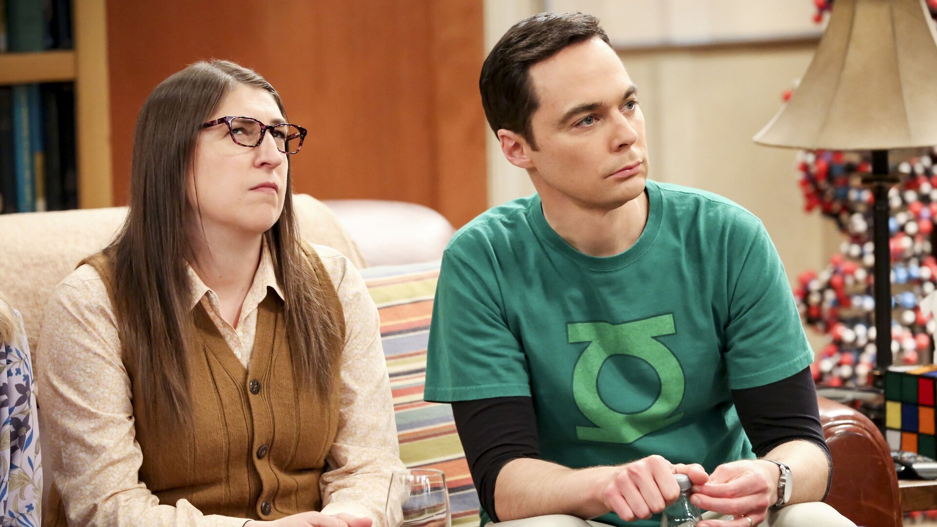 The Big Bang Theory : The Decision Reverberation