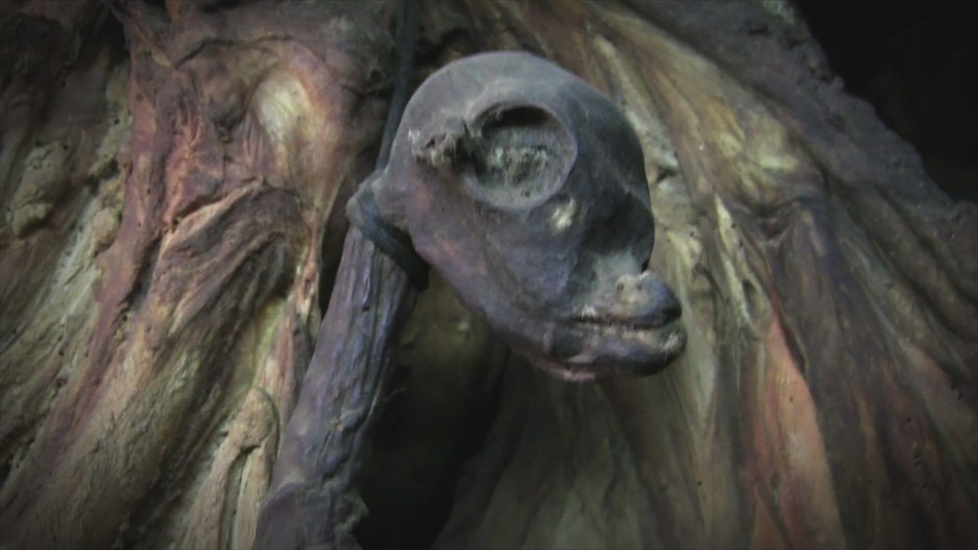 Mistérios Revelados : Pássaro Misterioso e Antigo Satélite Alienígena