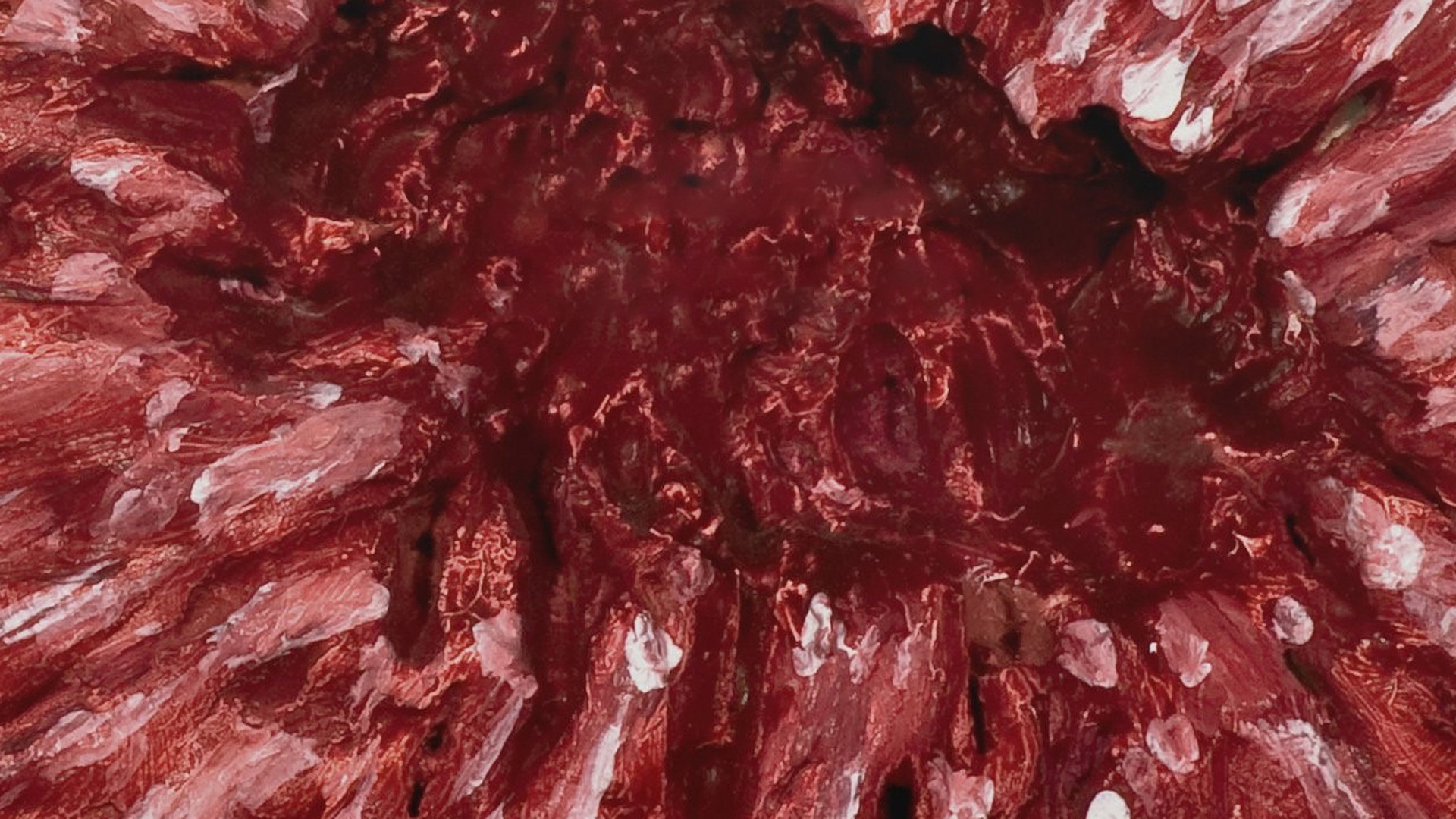 Adriana Varejão - Entre Carnes e Mares