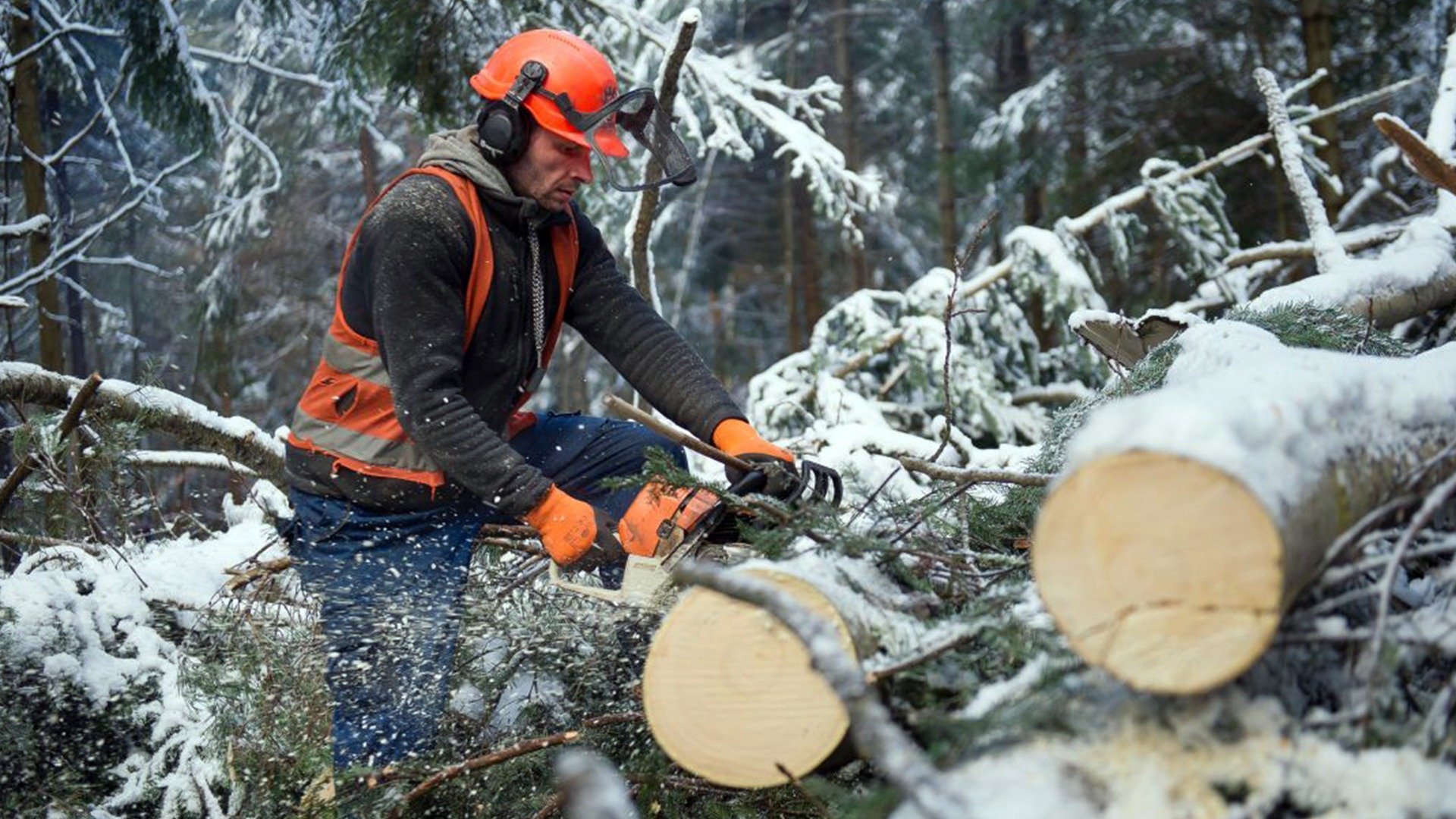 Polônia - A Última Fronteira